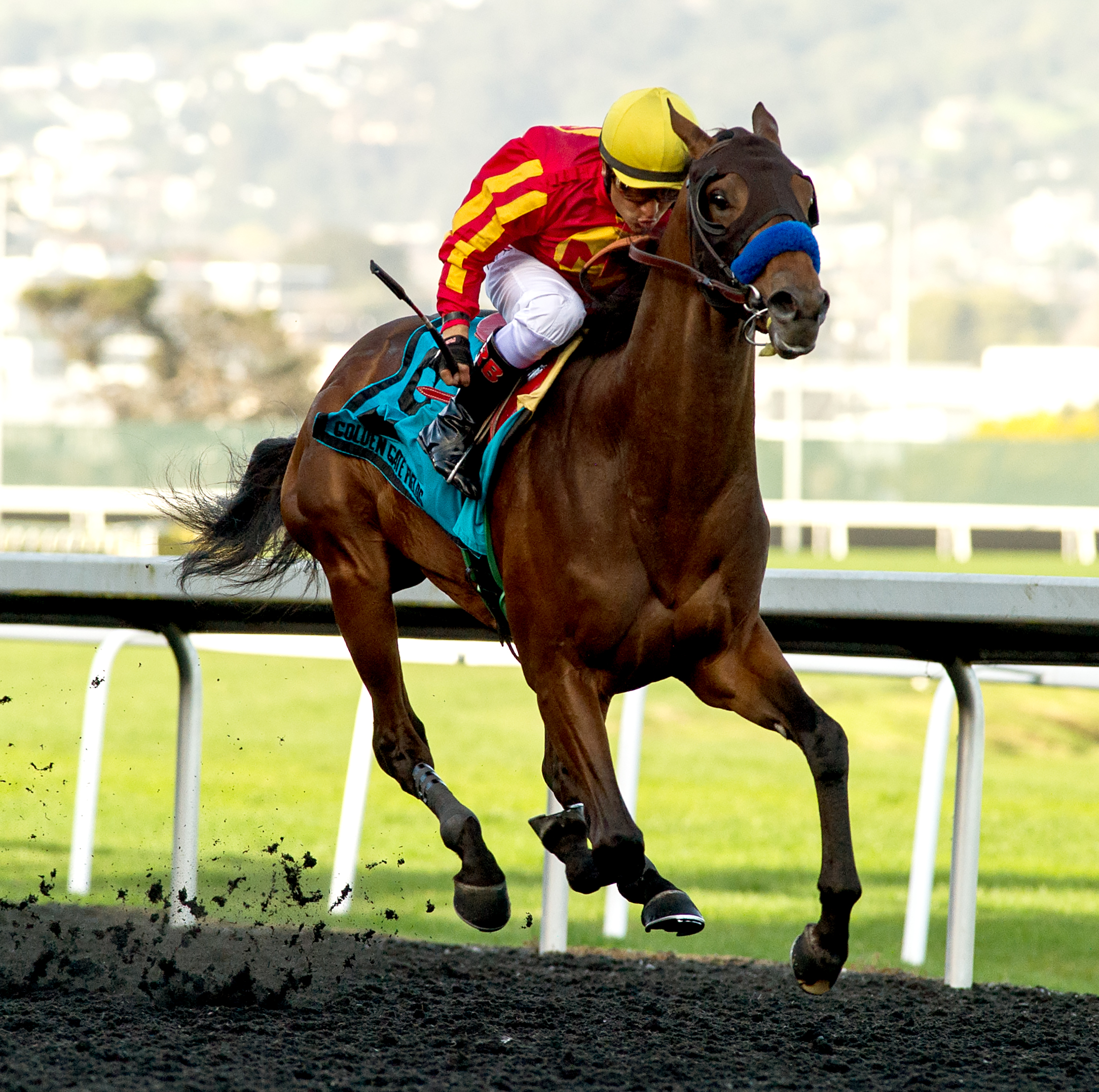 Azul Coast wins the 2020 El Camino Real Derby