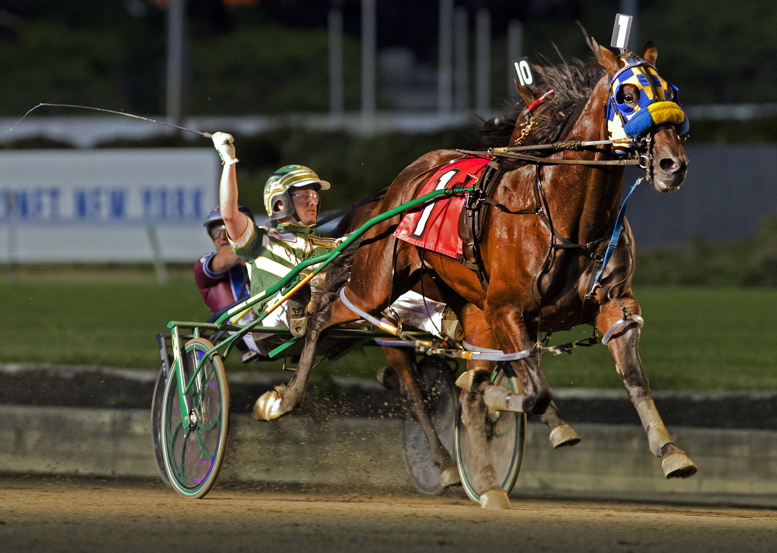 A Rocknroll Dance/Meadowlands Pace