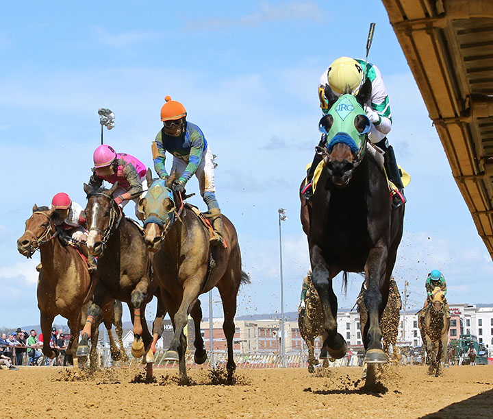 Aaron's Tap wins the 2019 Confucius Say Stakes