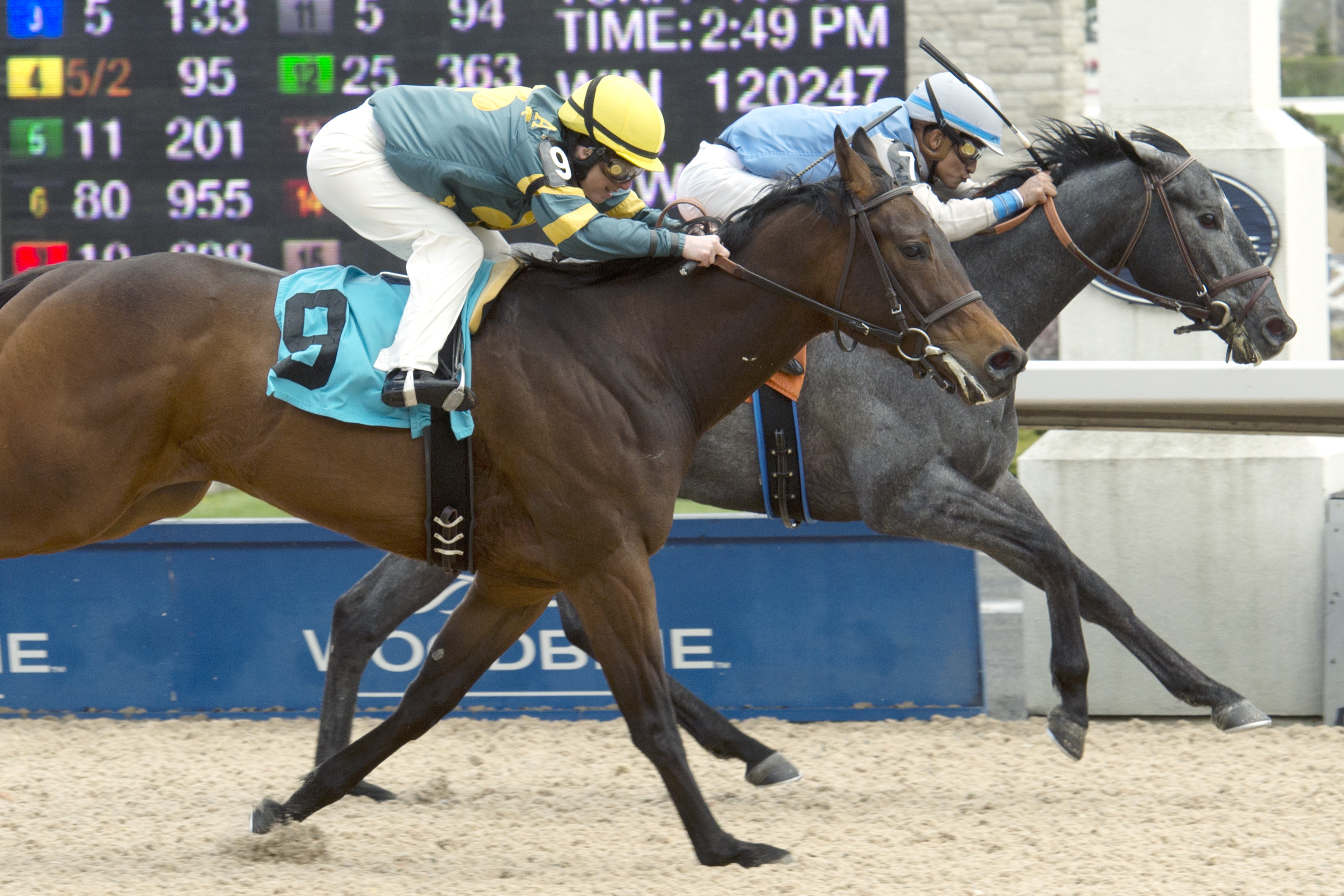 Aaronic Blessing wins a maiden race