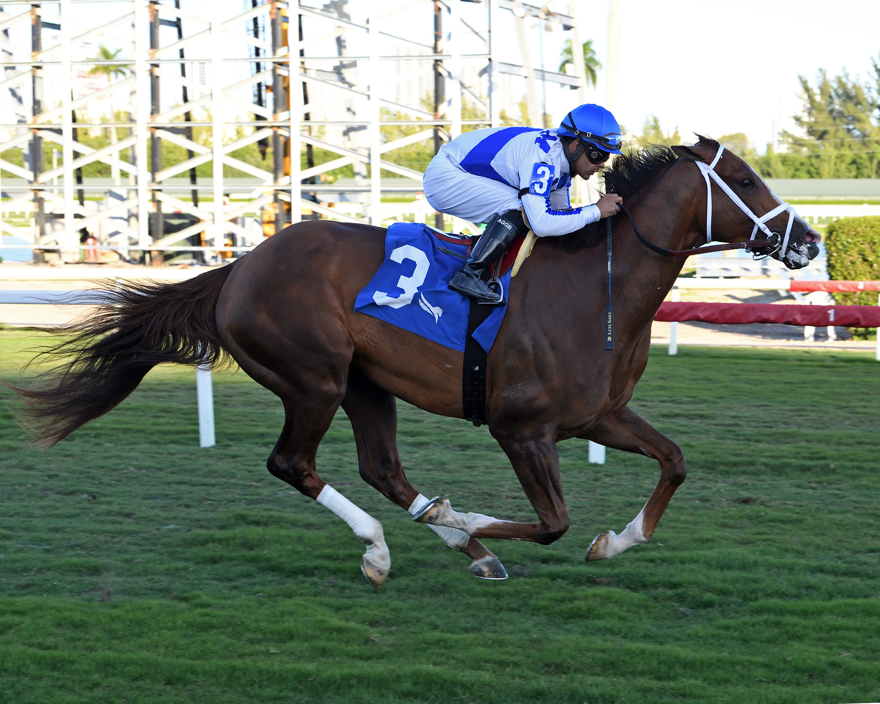 Abaan - H. Allen Jerkens S. 2021