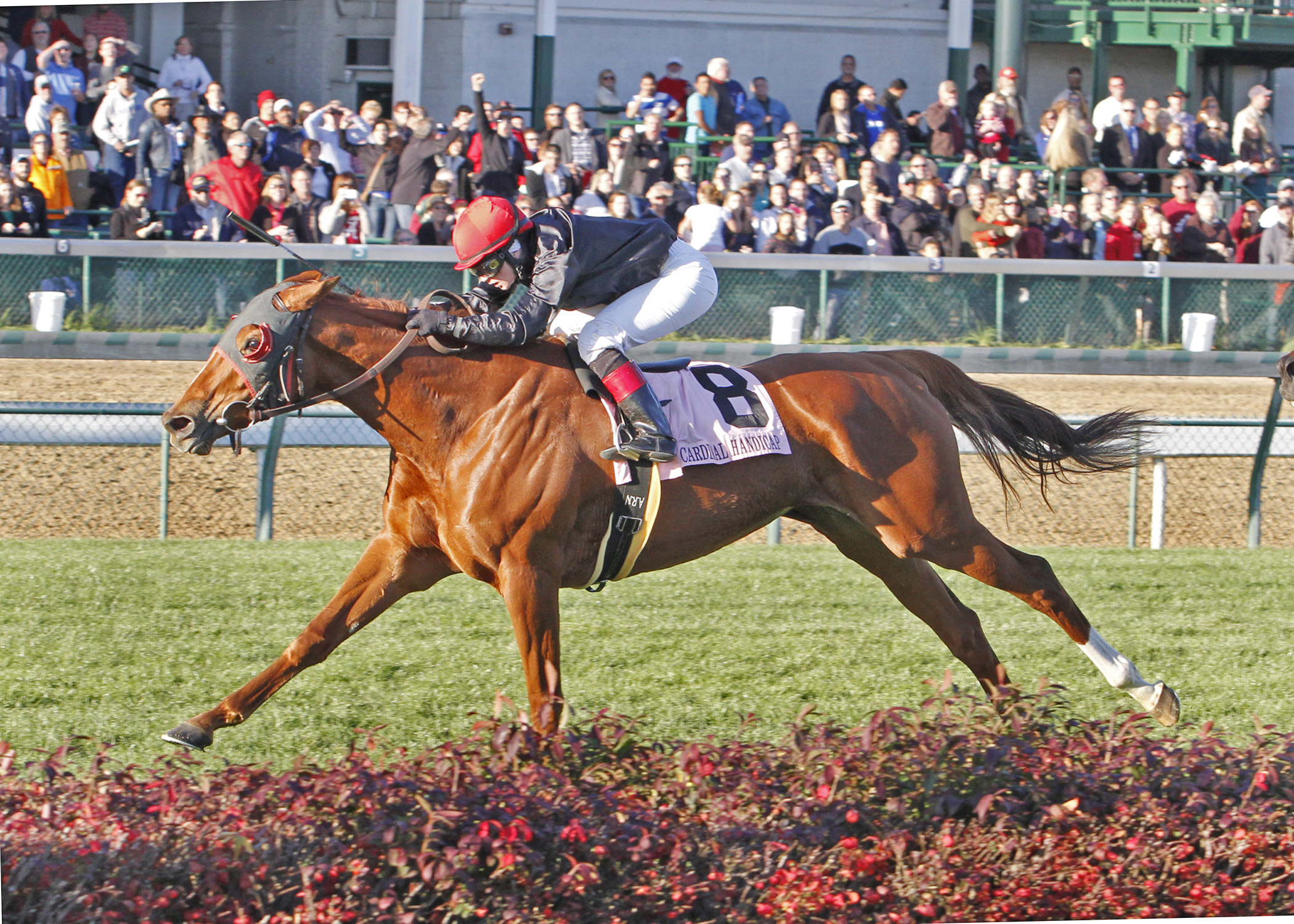 Abaco wins the Cardinal Handicap