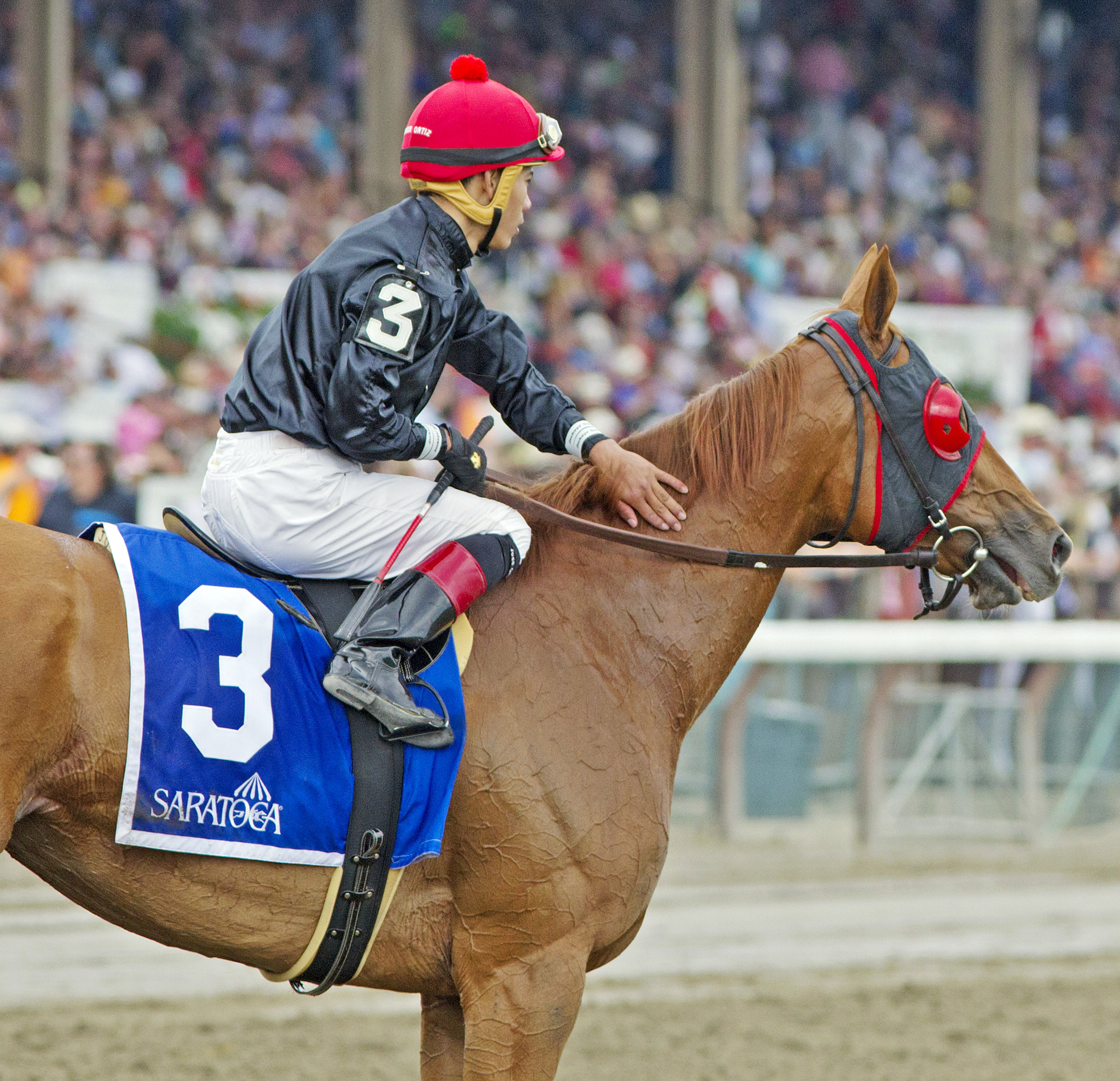 Abaco at the Ballston Spa Stakes