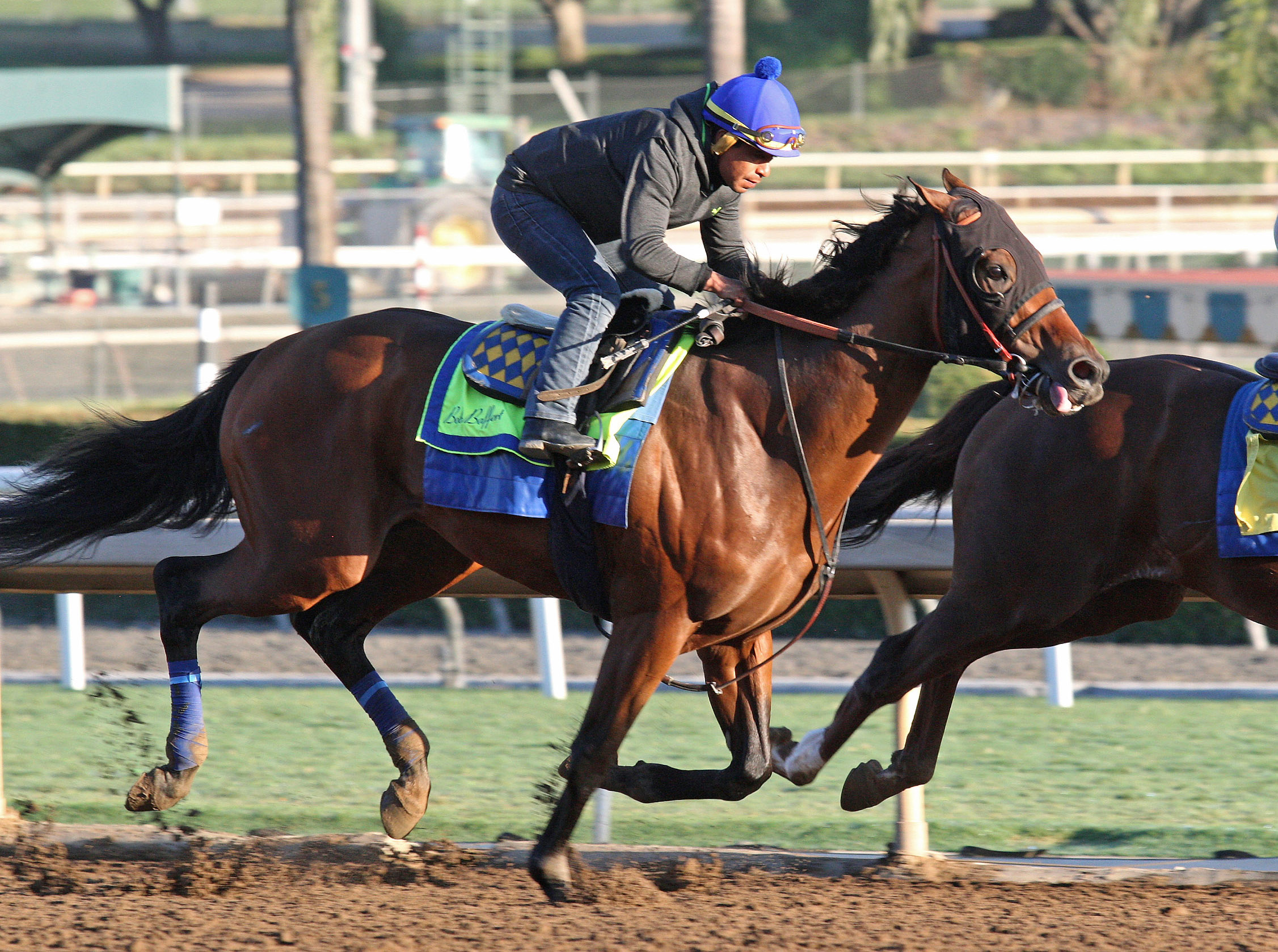 Abel Tasman works on Oct. 15