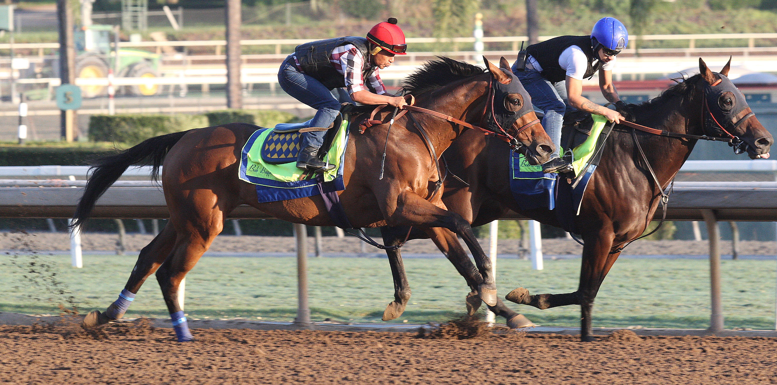 Abel Tasman works at Santa Anita on Oct 28