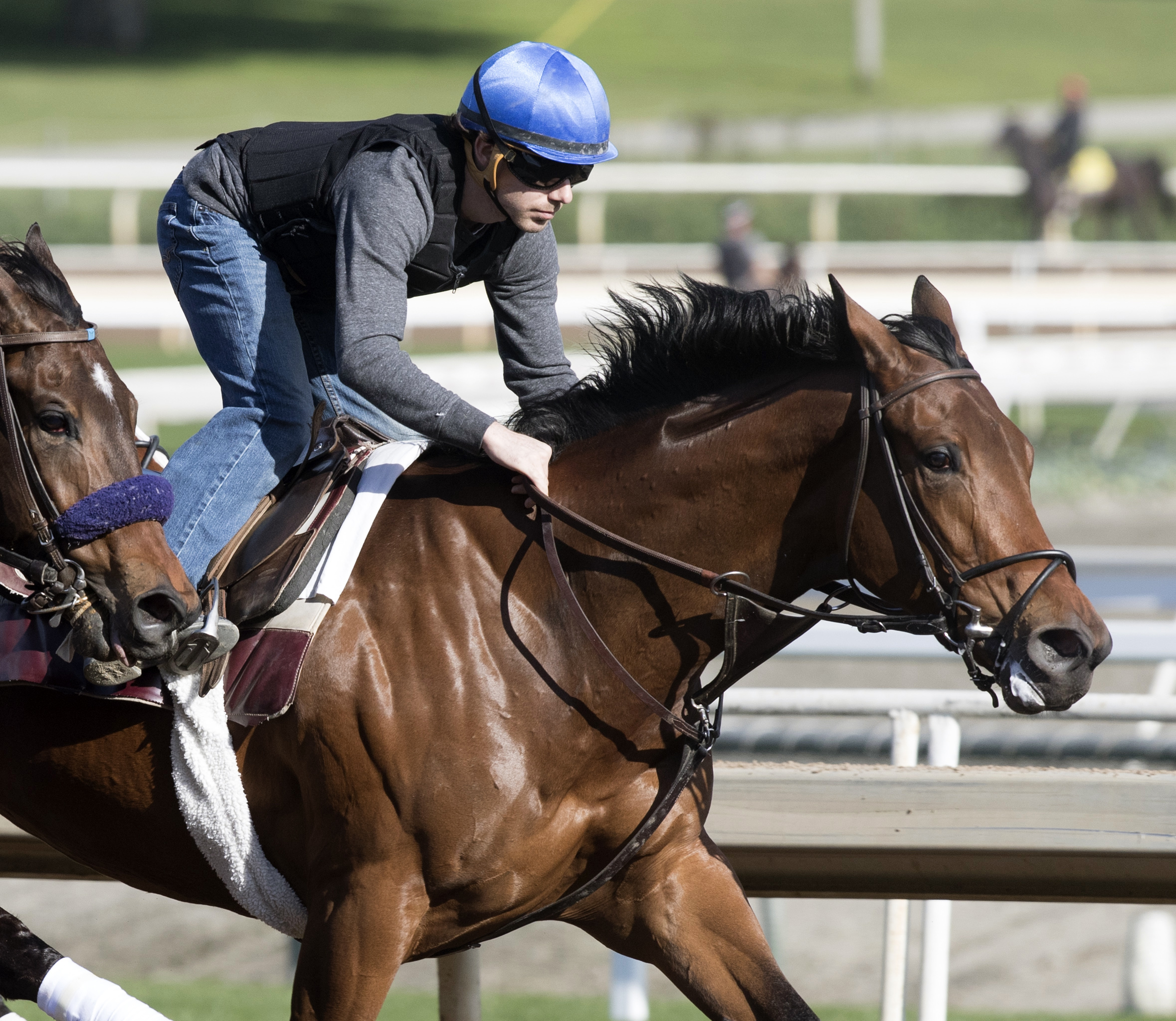 Abel Tasman trains at Santa Anita Park on Feb. 16