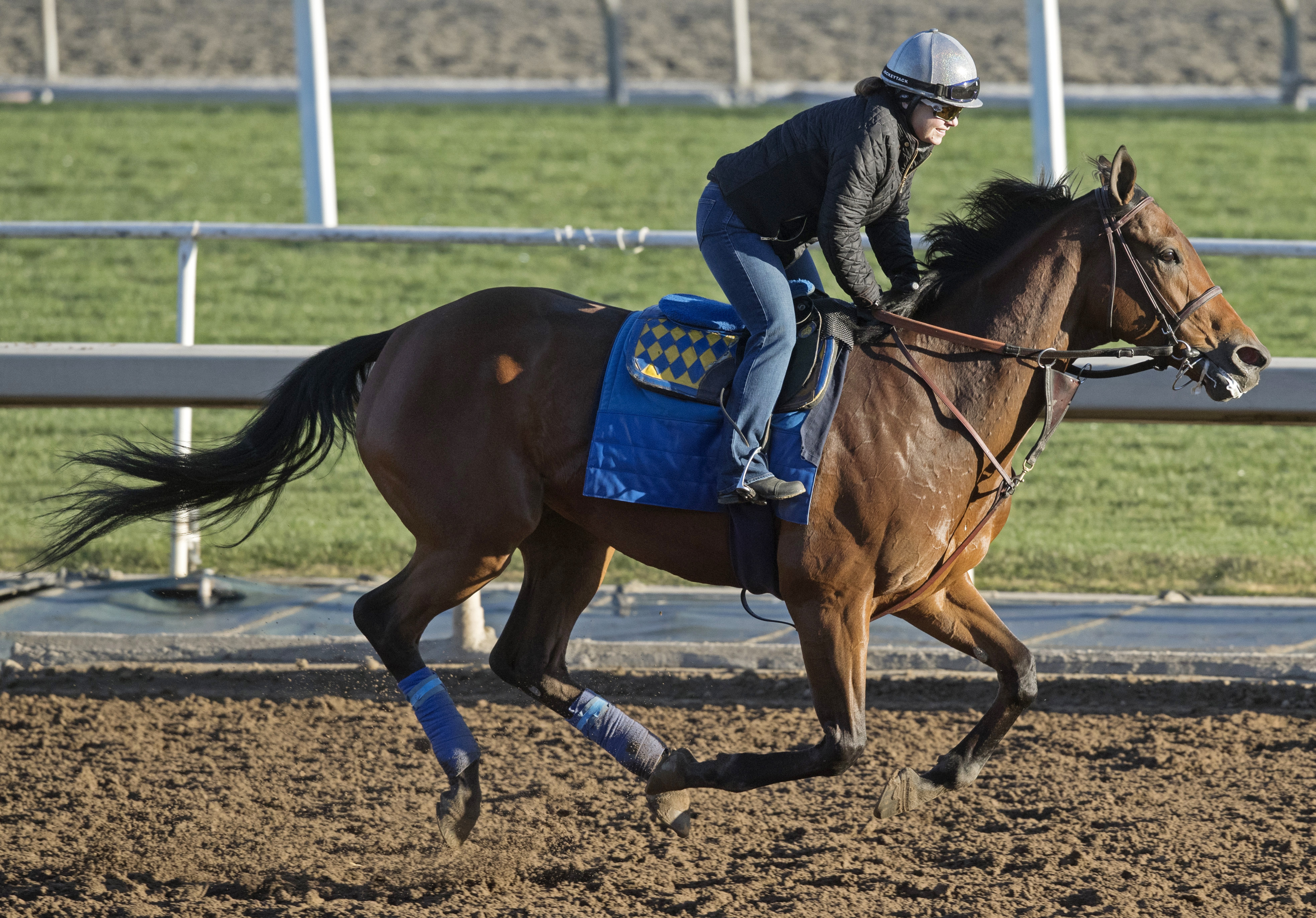 Abel Tasman trains at Santa Anita on March 5