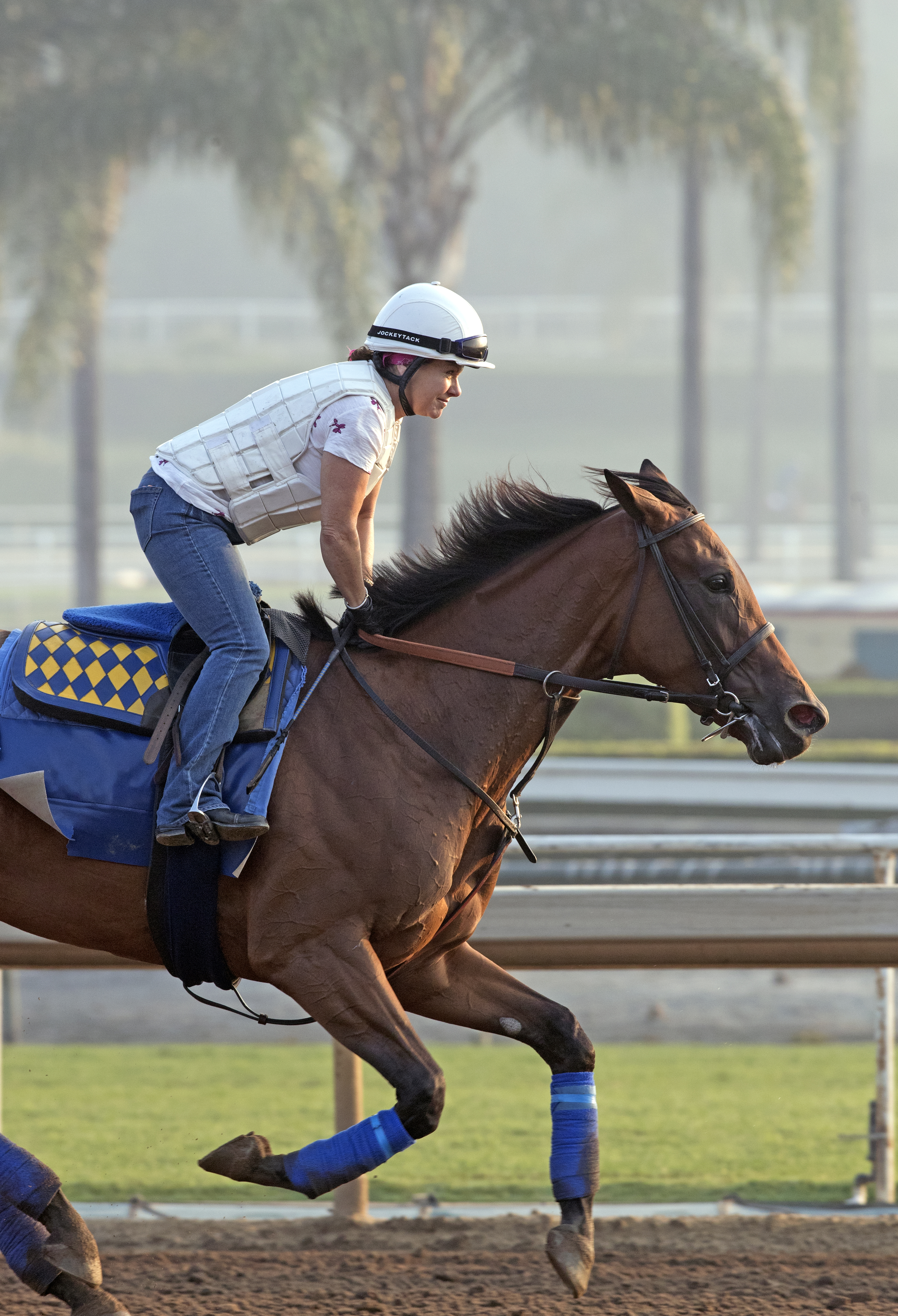 Abel Tasman trains at Santa Anita on July 5