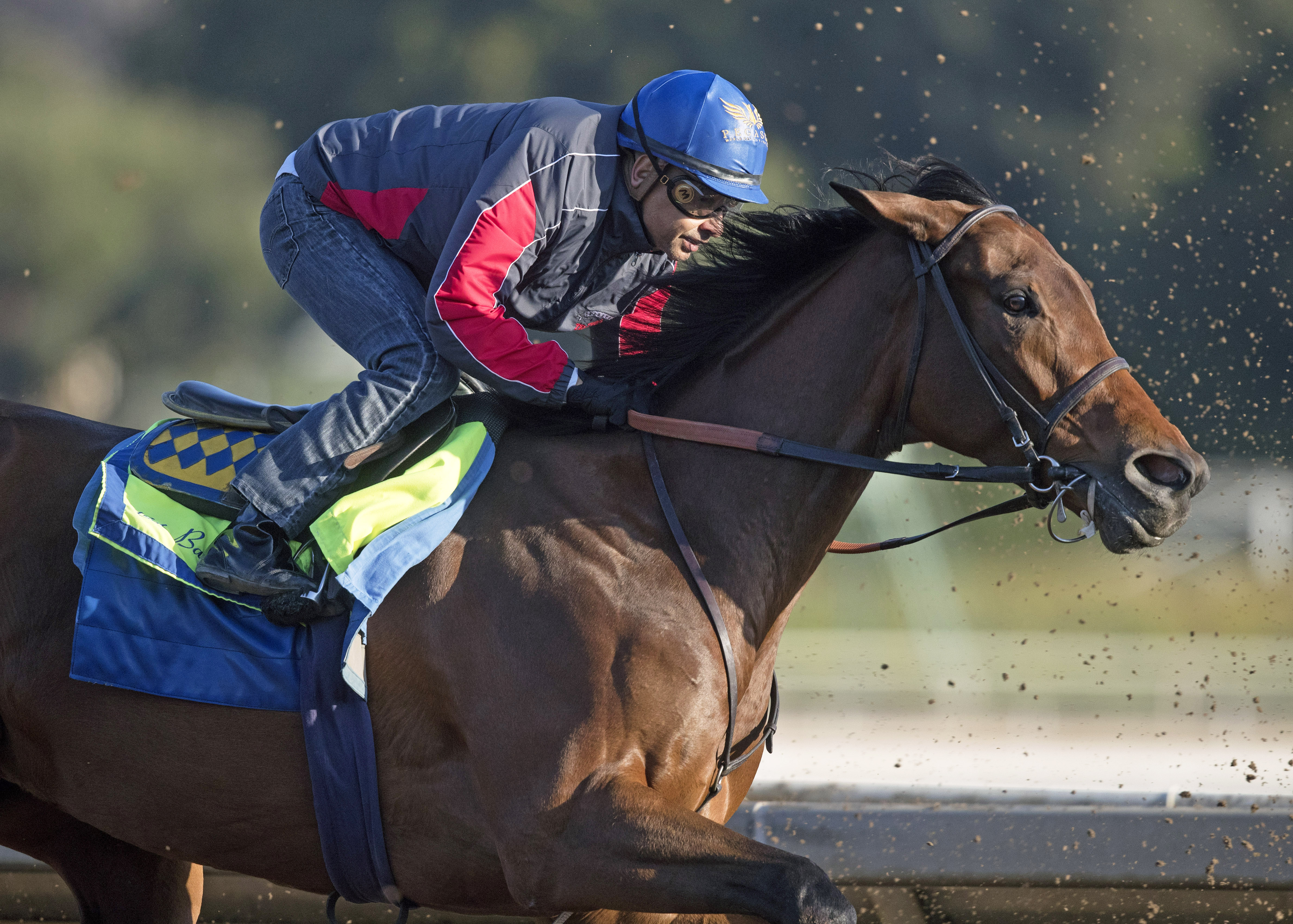 Abel Tasman trains at Santa Anita on Feb. 15