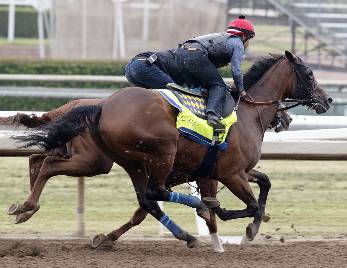 Abel Tasman trains at Santa Anita on June 27