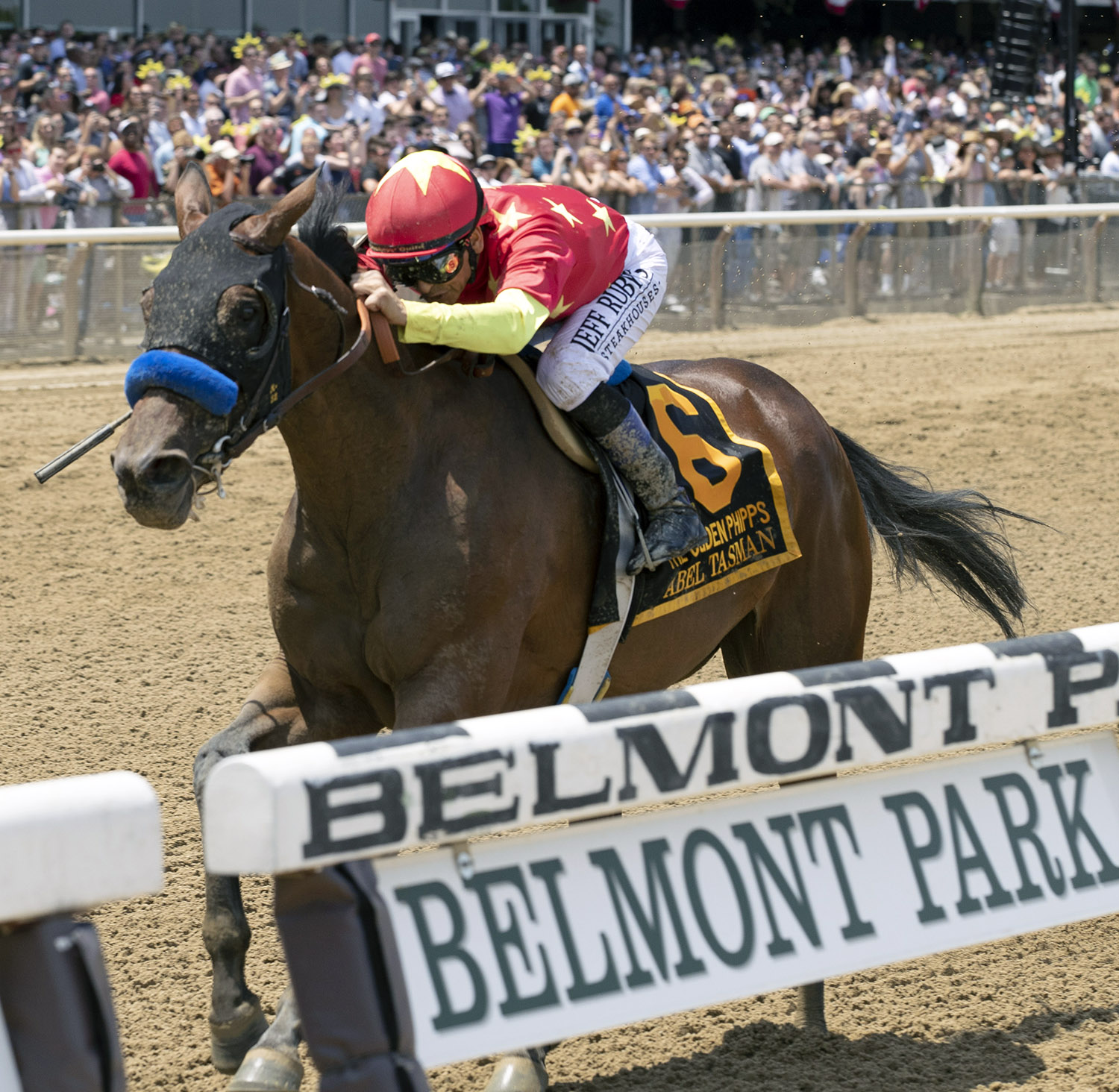 Abel Tasman wins the Ogden Phipps