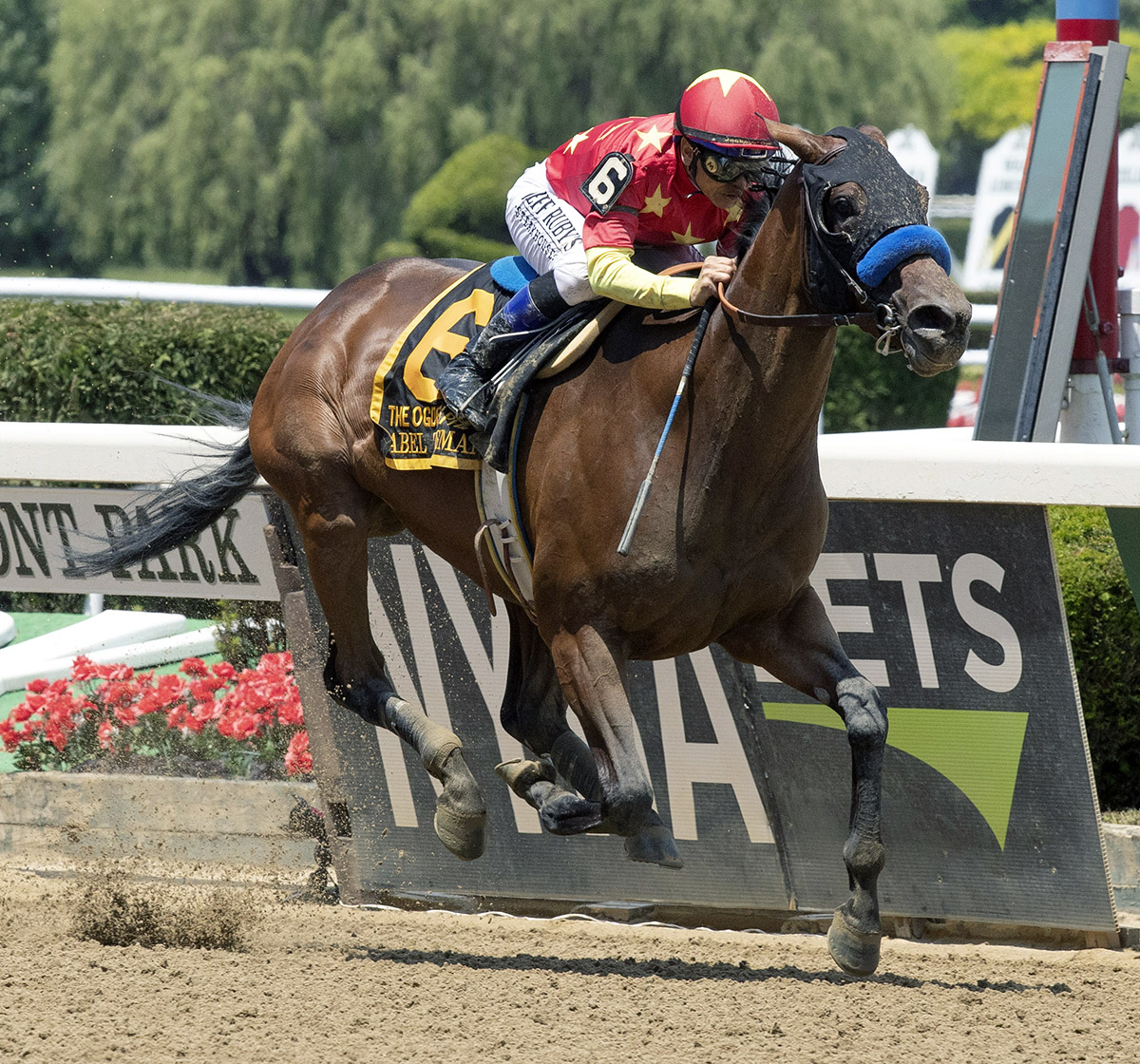 Abel Tasman wins the 2018 Ogden Phipps