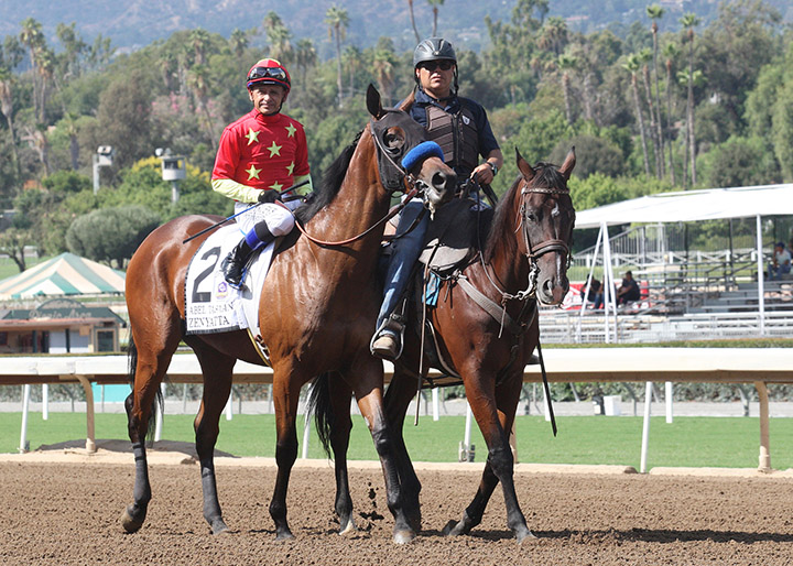 Abel Tasman at the Zenyatta