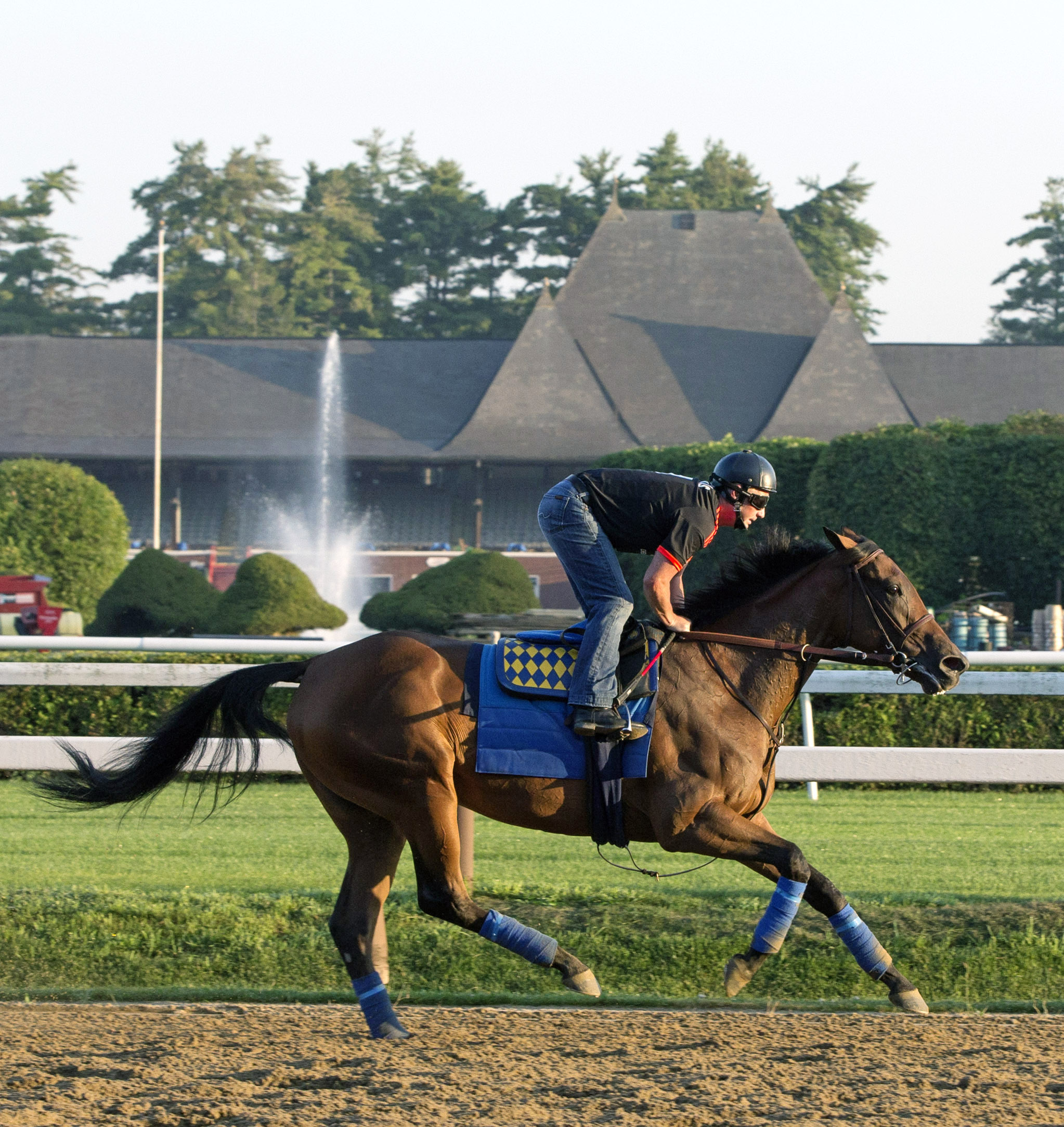 Abel Tasman trains at Saratoga on July 21, 2017