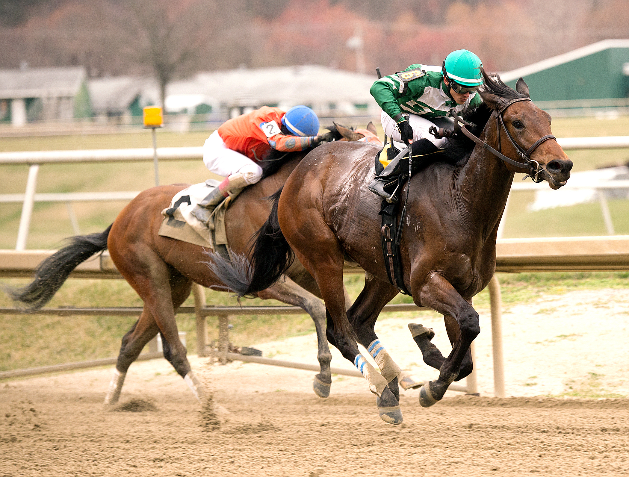 Abiding Star wins the Private Terms Stakes