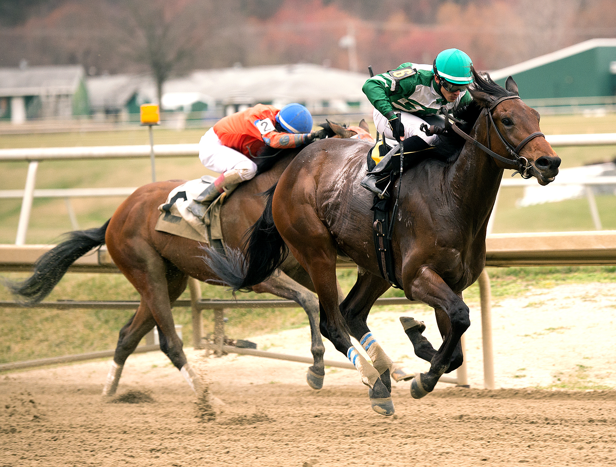 Abiding Star wins the Private Terms Stakes