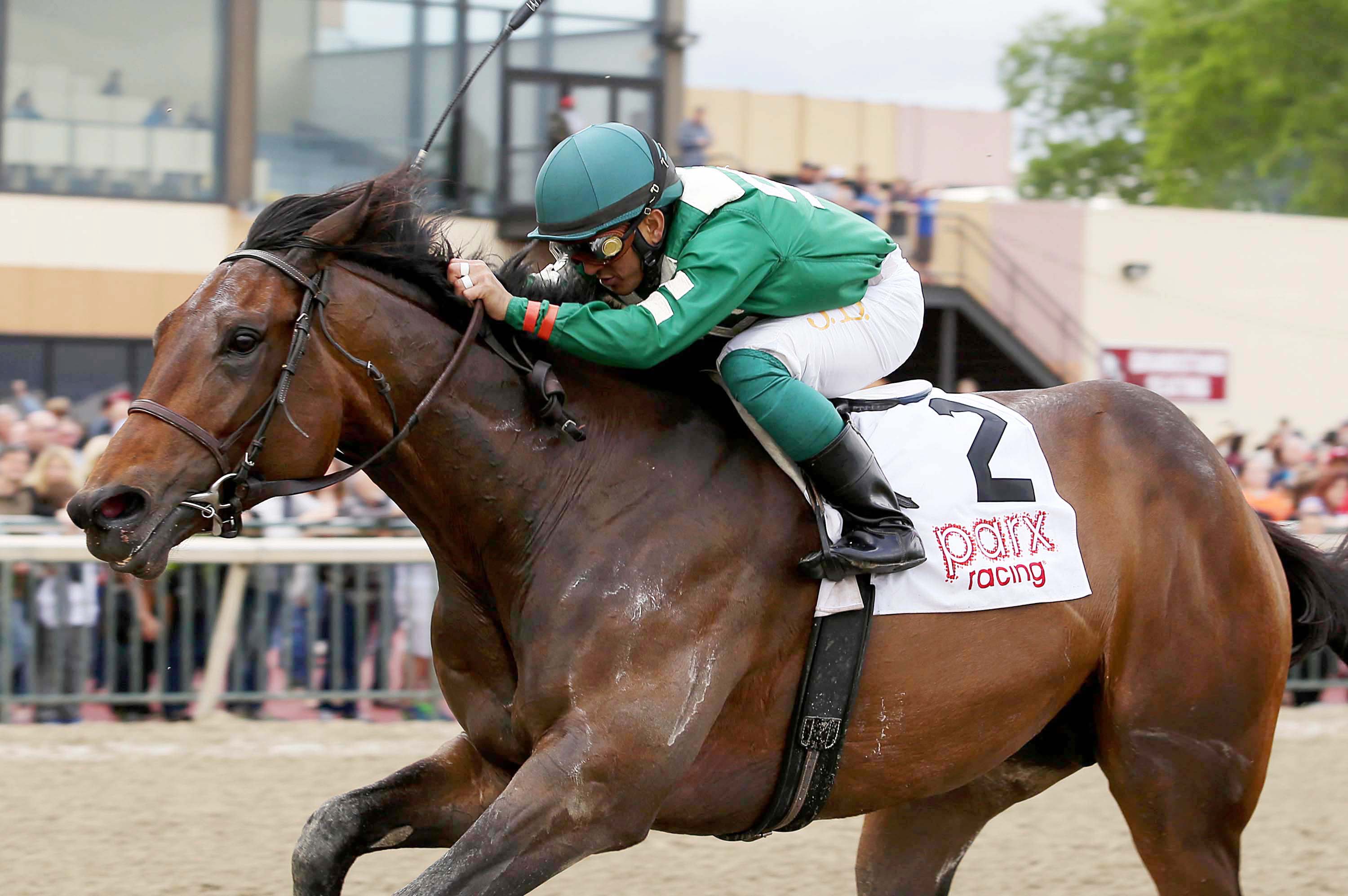 Abiding Star wins the Parx Derby