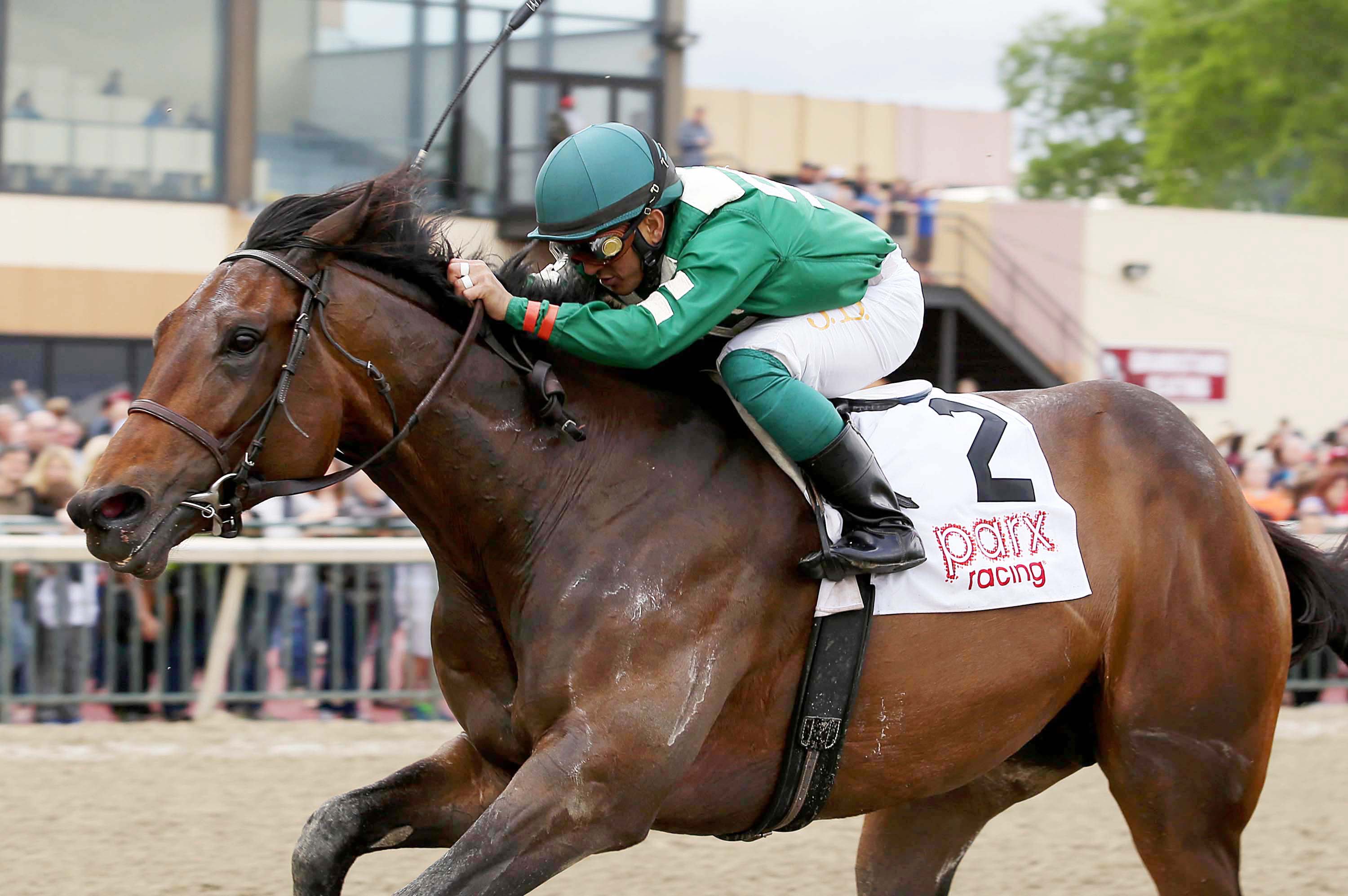 Abiding Star wins the 2016 Parx Derby