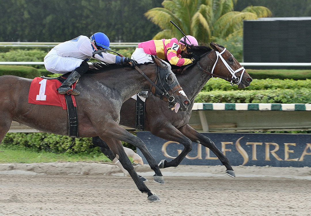 Abilene Trail wins an Oct. 30 maiden race at Gulfstream Park West