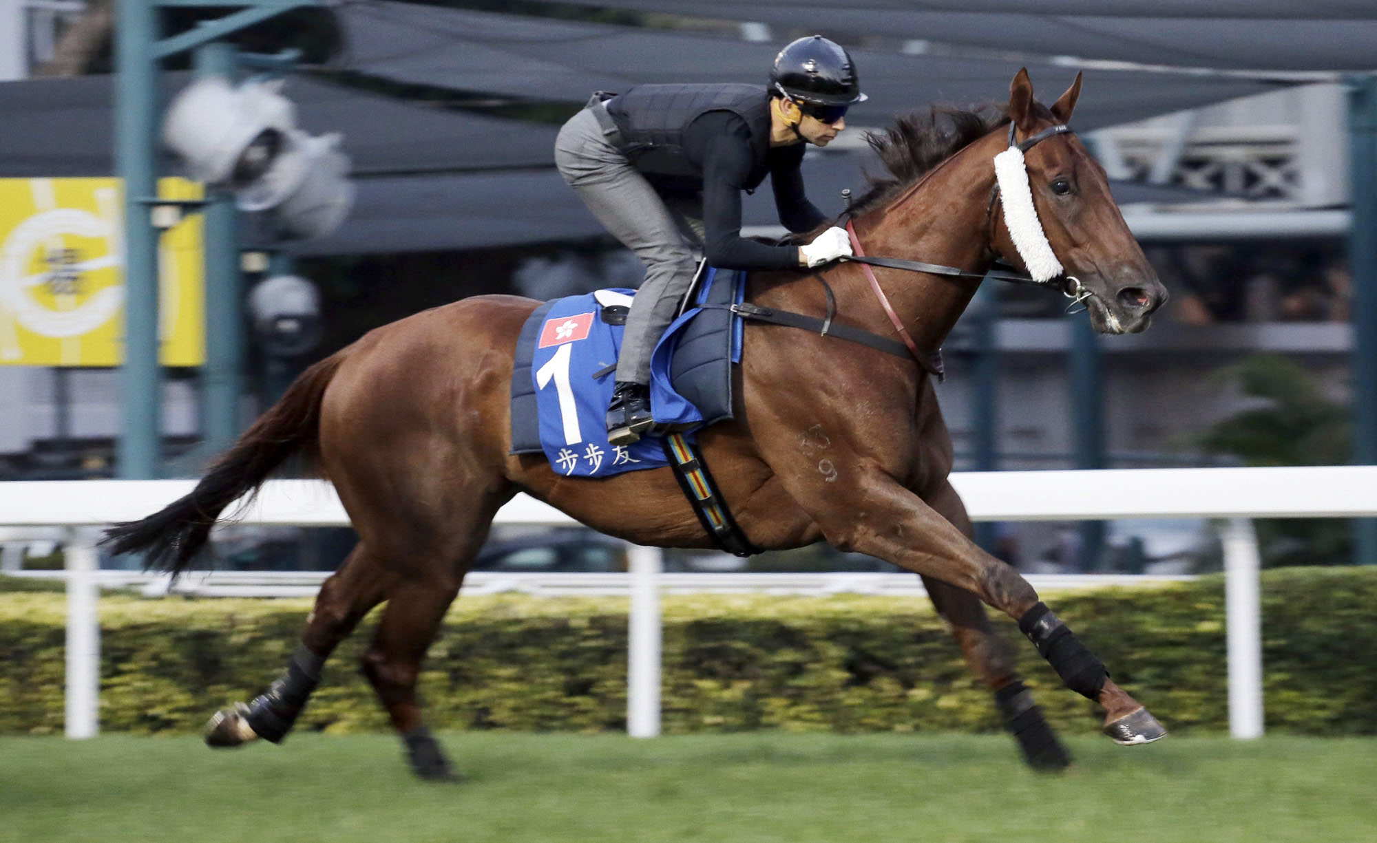 Able Friend trains at Sha Tin in Dec. 2016
