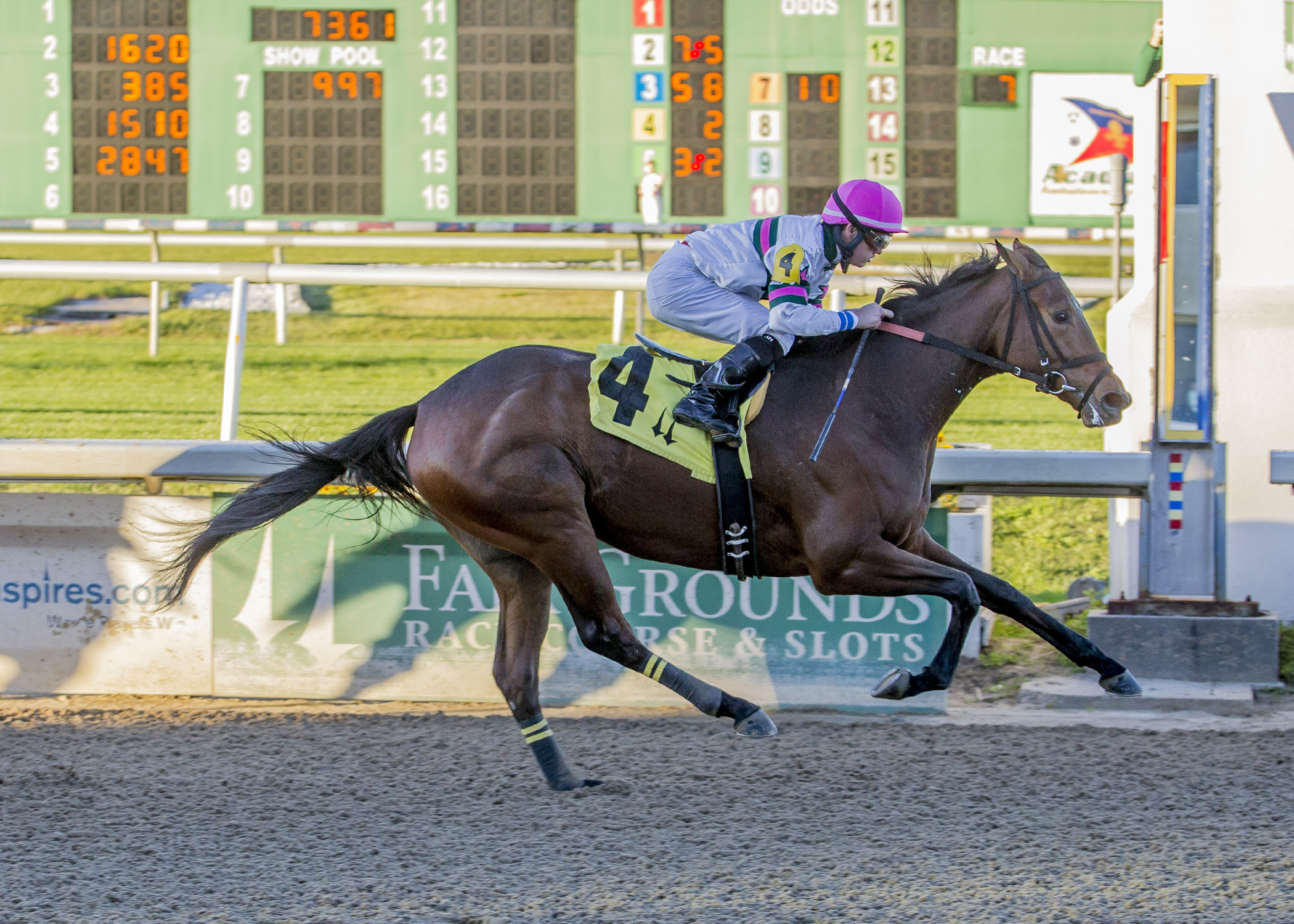 Above Fashion wins the Letellier Memorial Overnight Stakes