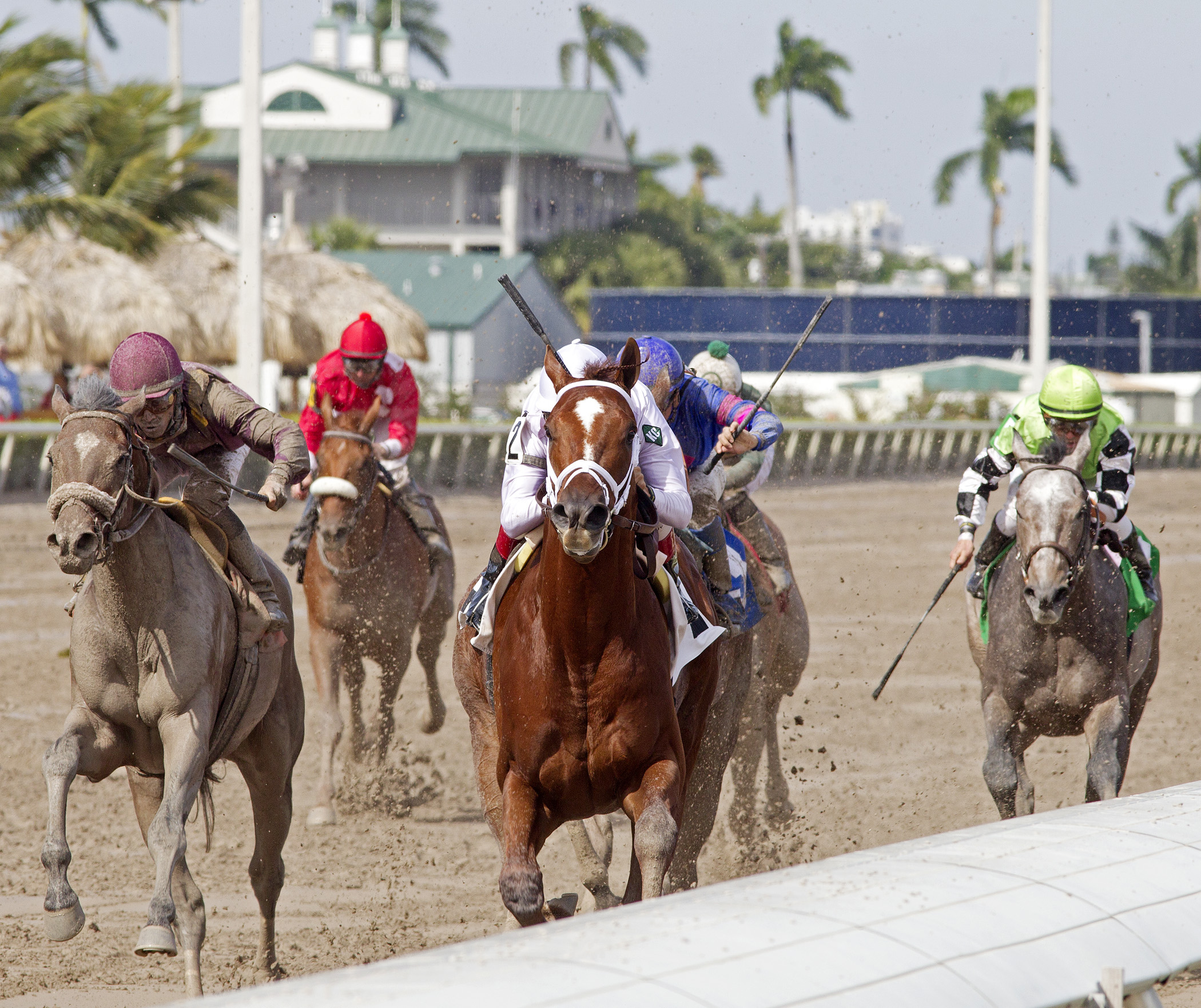 Abraham, maiden win