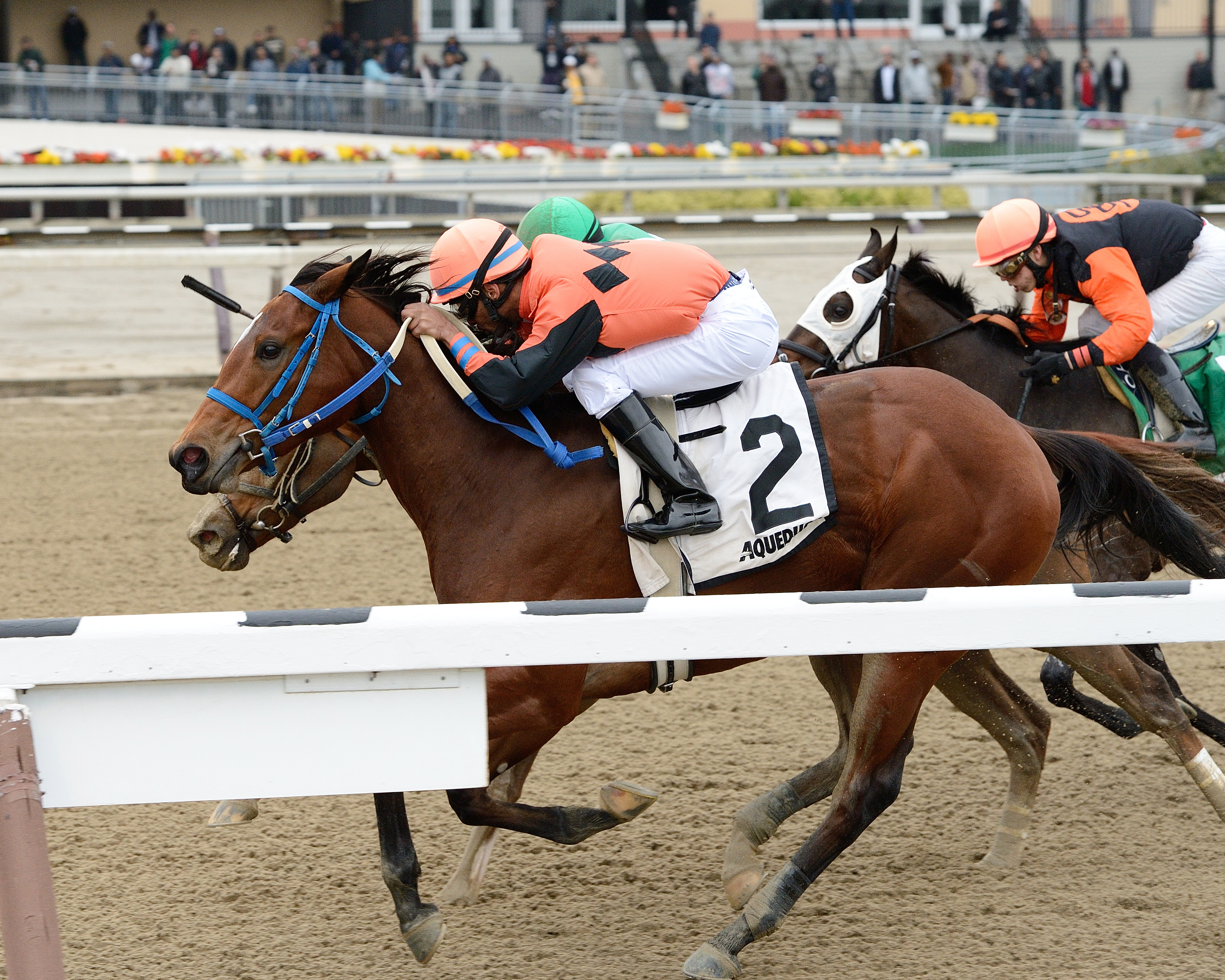 Absatootly wins the East View Stakes
