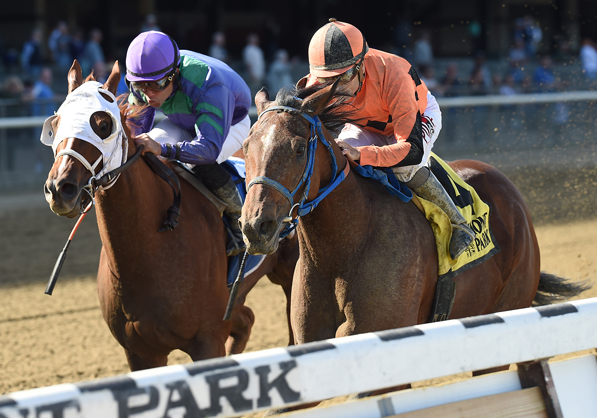 Absatootly wins the 2017 Iroquois Stakes