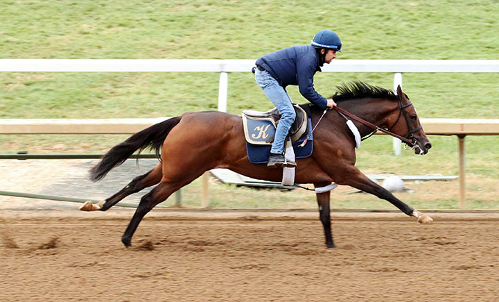 Abscond trains at Keeneland Racecourse on Oct. 25
