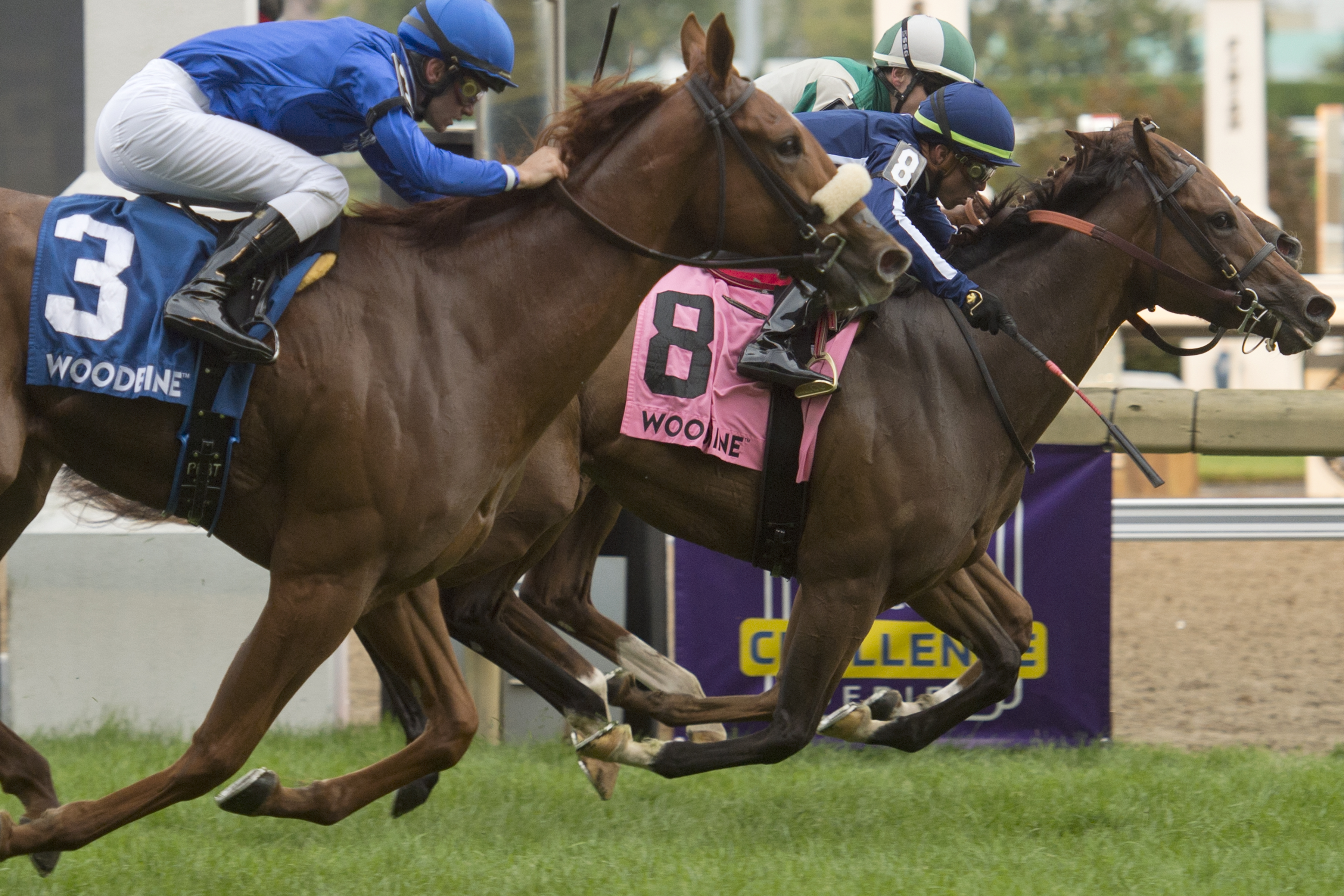 Abscond (No. 8) wins the 2019 Natalma Stakes