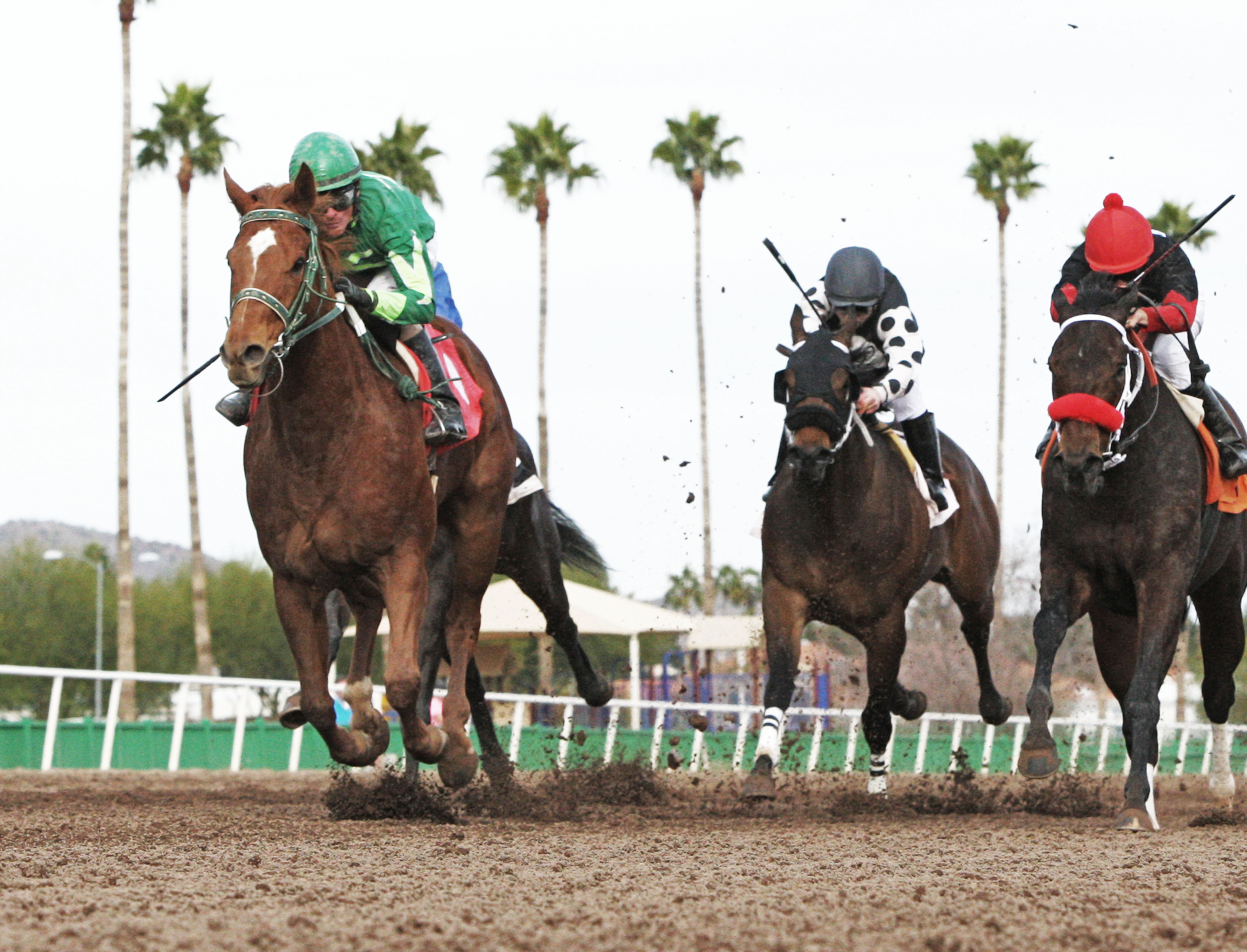 Absolutely Cool wins the Hank Mills, Sr. Stakes