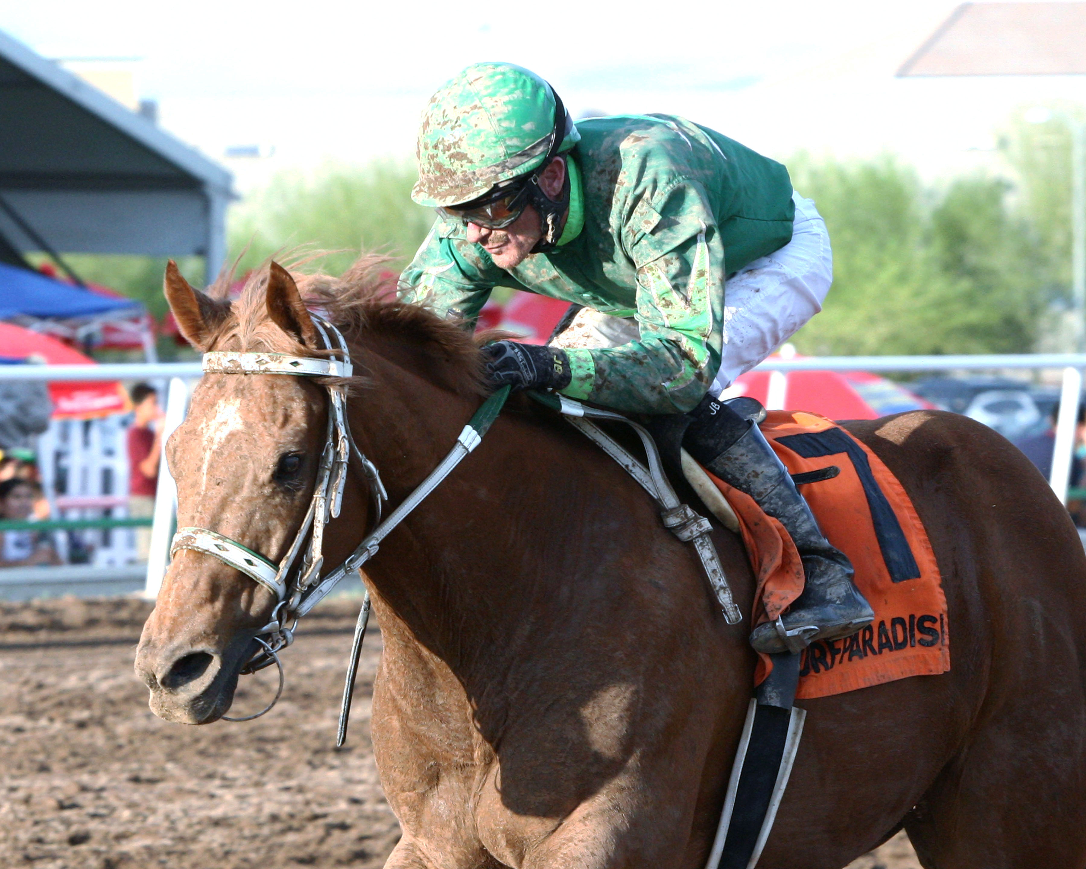 Absolutely Cool wins the Bienvenidos Stakes