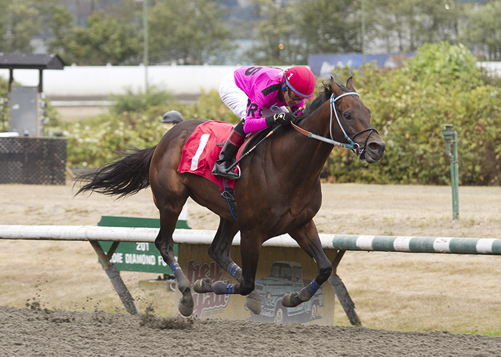 Absolutely Stylish wins the 2018 S. W. Randall Plate
