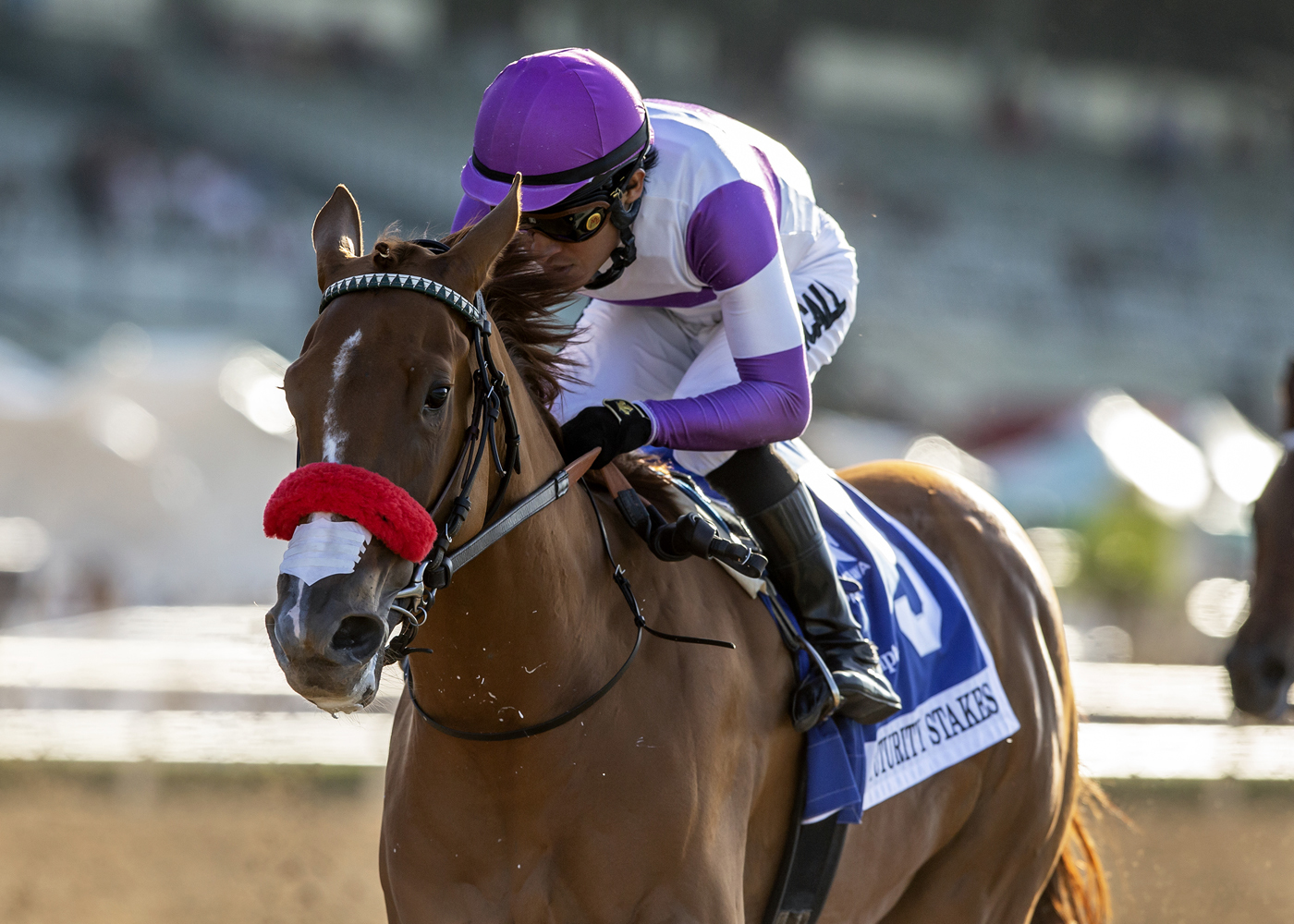 Absolutely Zero/Fasig-Tipton Futurity