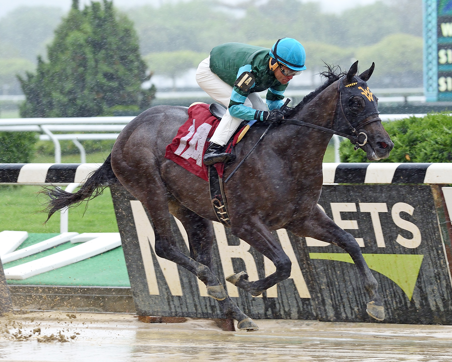 Abyssinian wins a May 19 maiden race at Belmont
