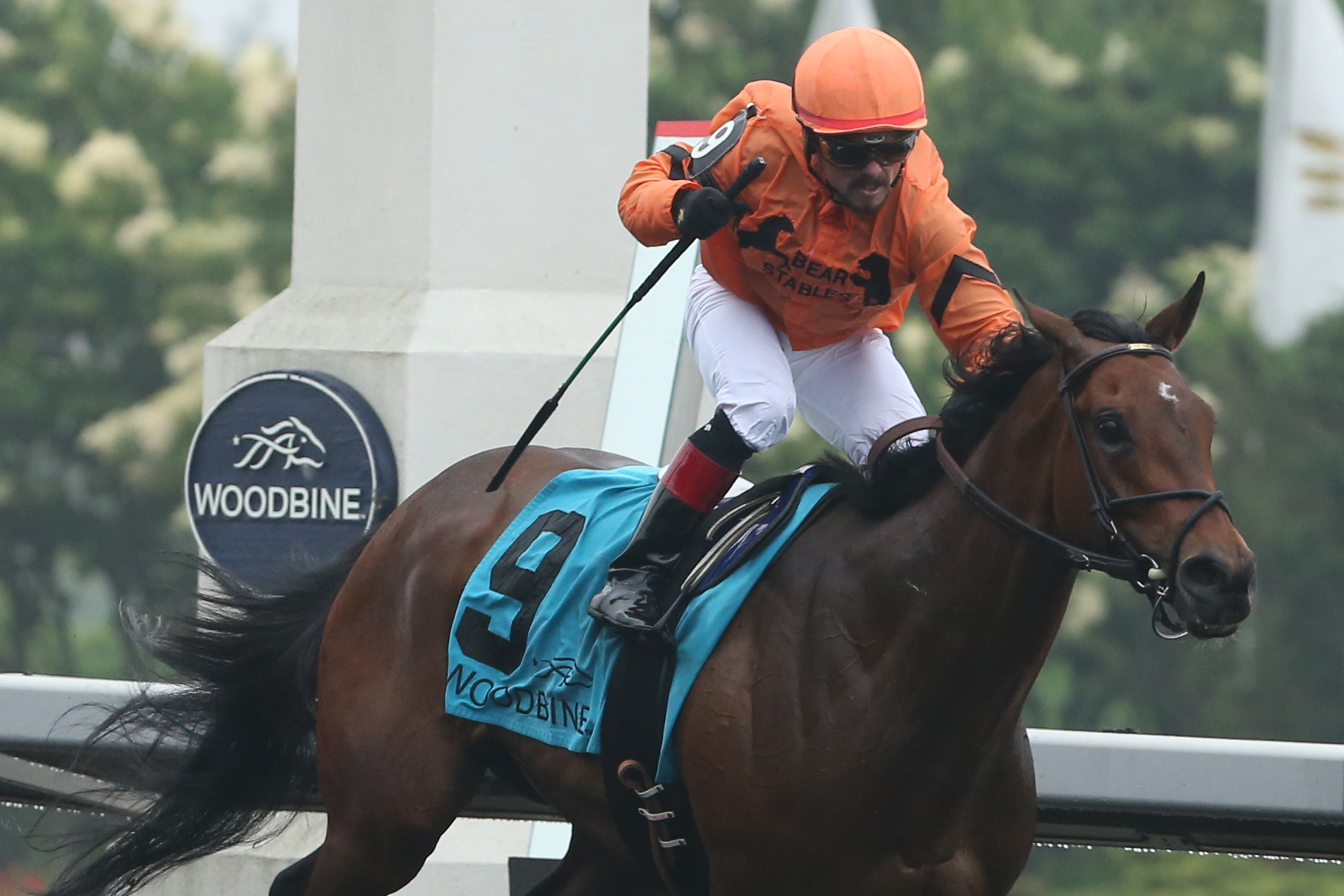 Academic wins 2015 Woodbine Oaks