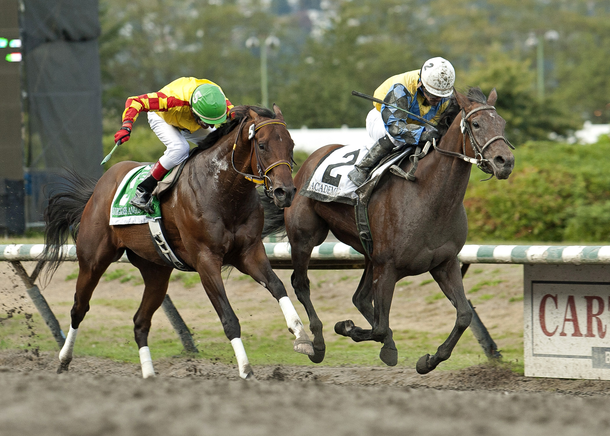 Academic wins the British Columbia Derby
