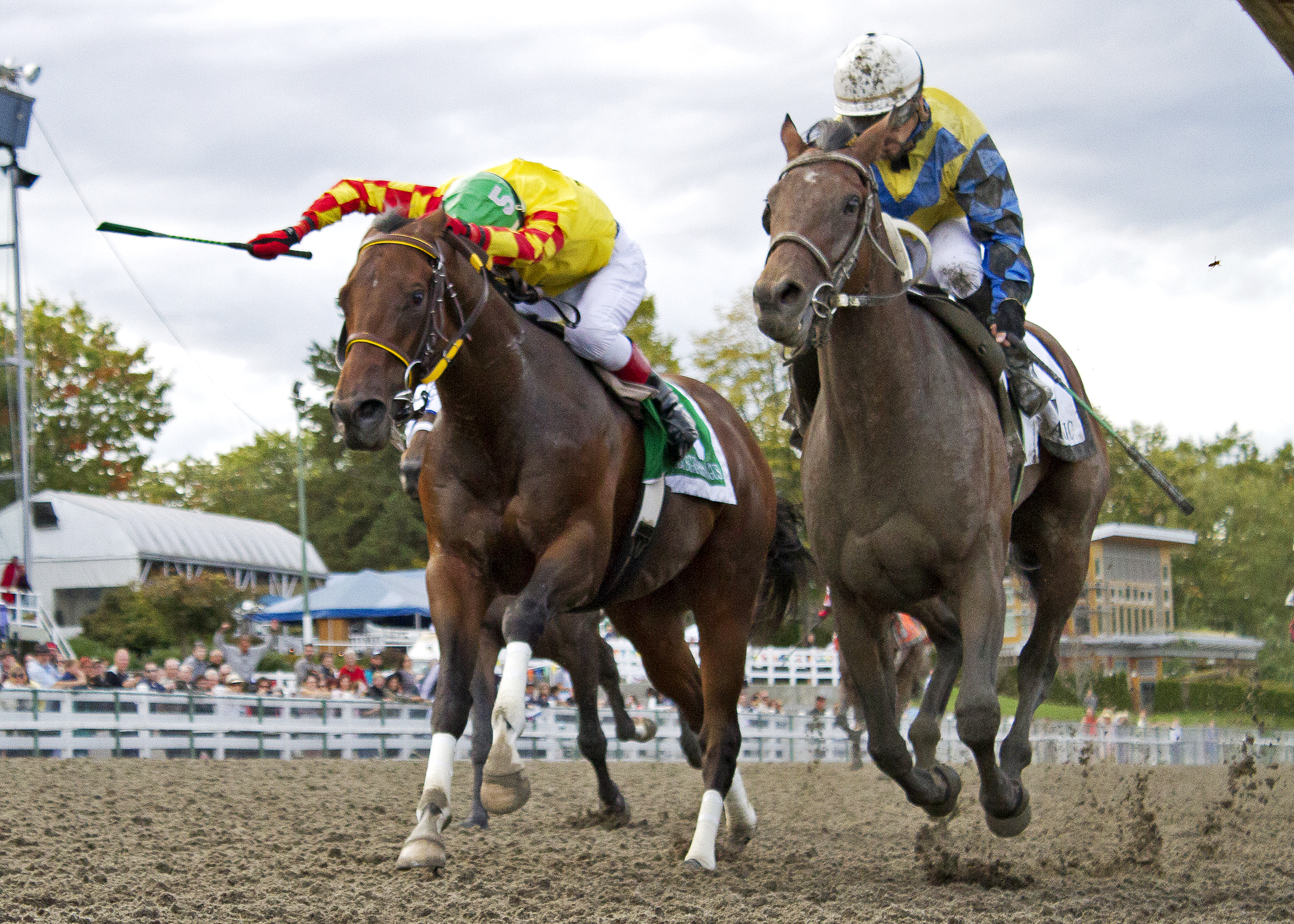 Academic wins the British Columbia Derby