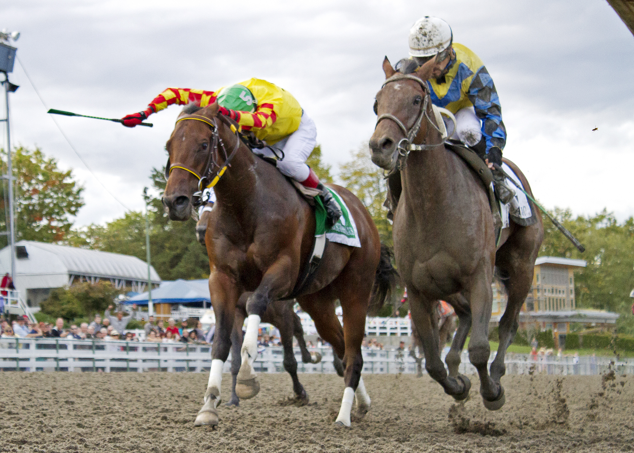 Academic wins the British Columbia Derby