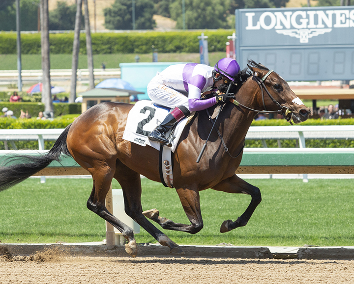Acai wins a May 12 maiden race at Santa Anita
