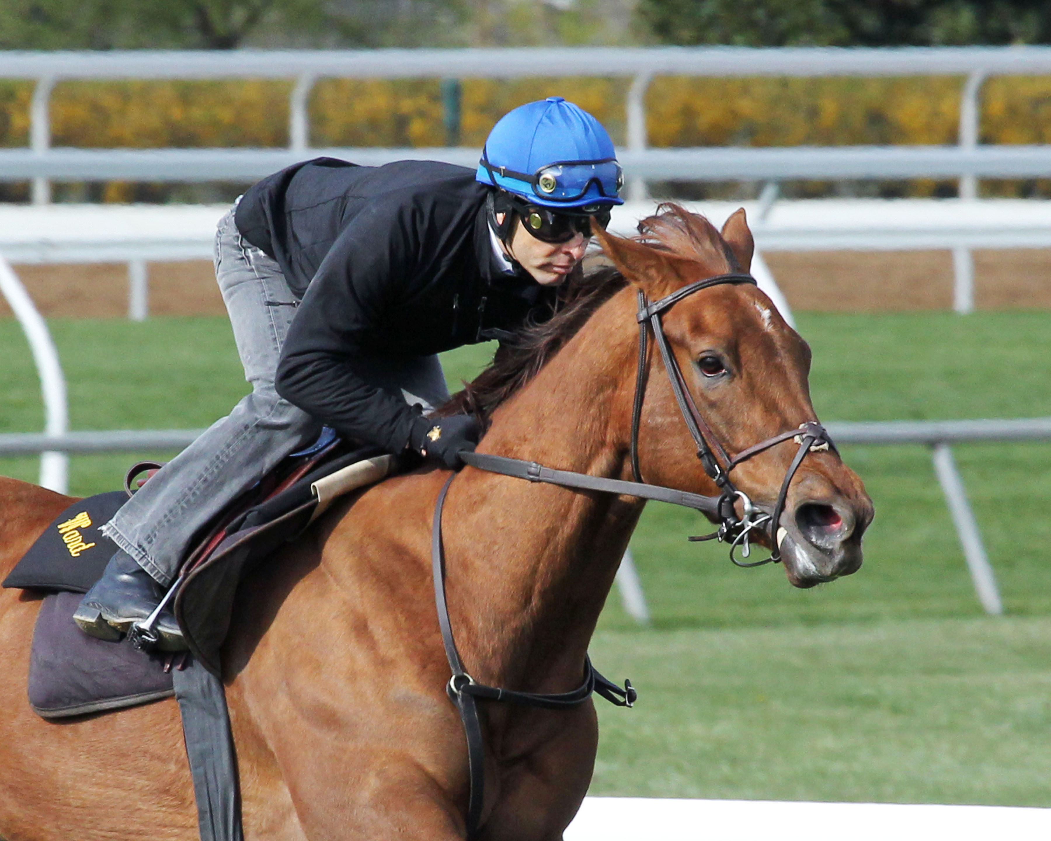 Acapulco trains at Keeneland on April 10