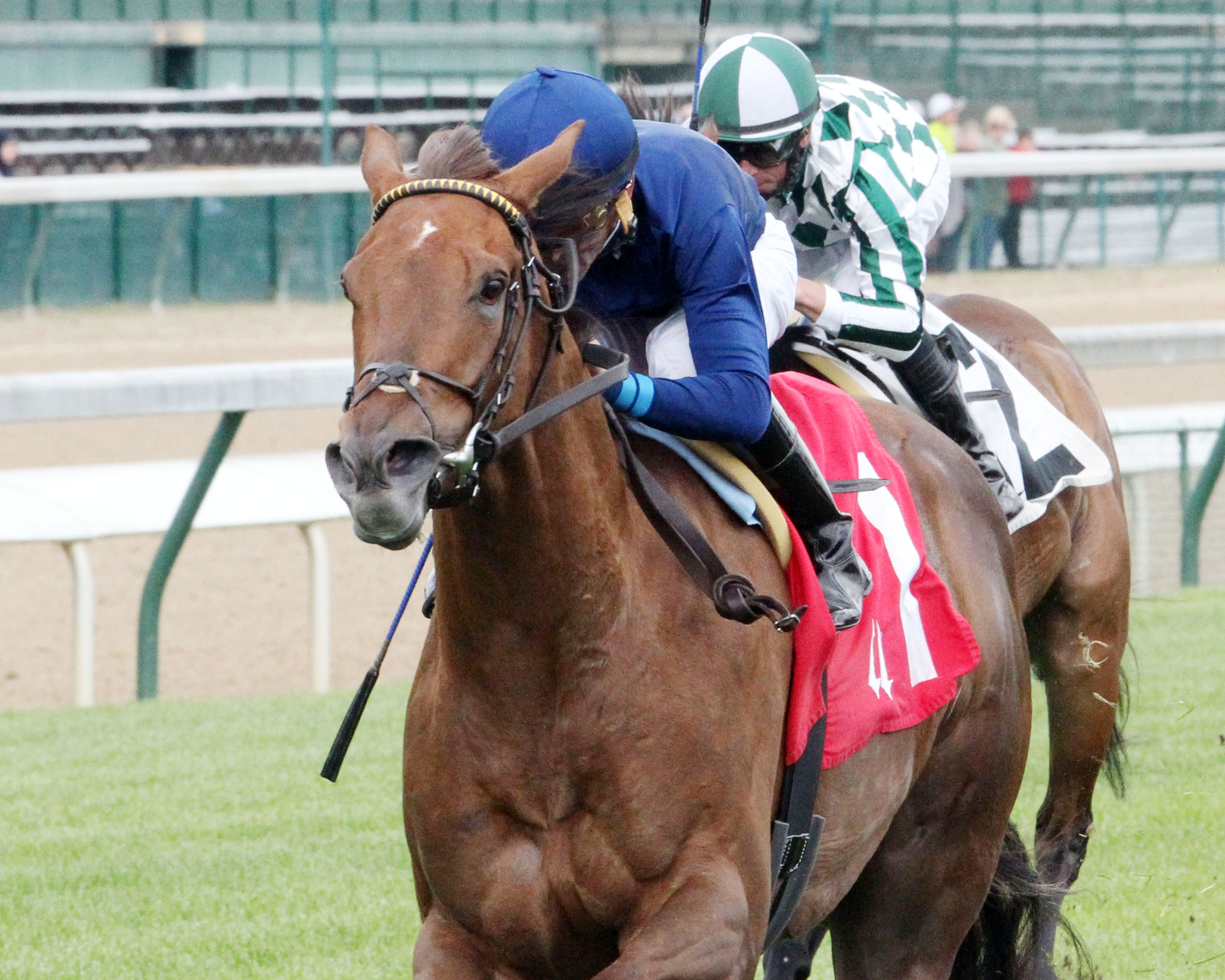 Acapulco wins the Unbridled Sidney Stakes