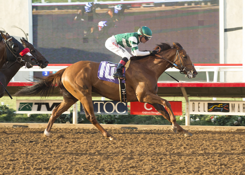 accelerate, shared belief