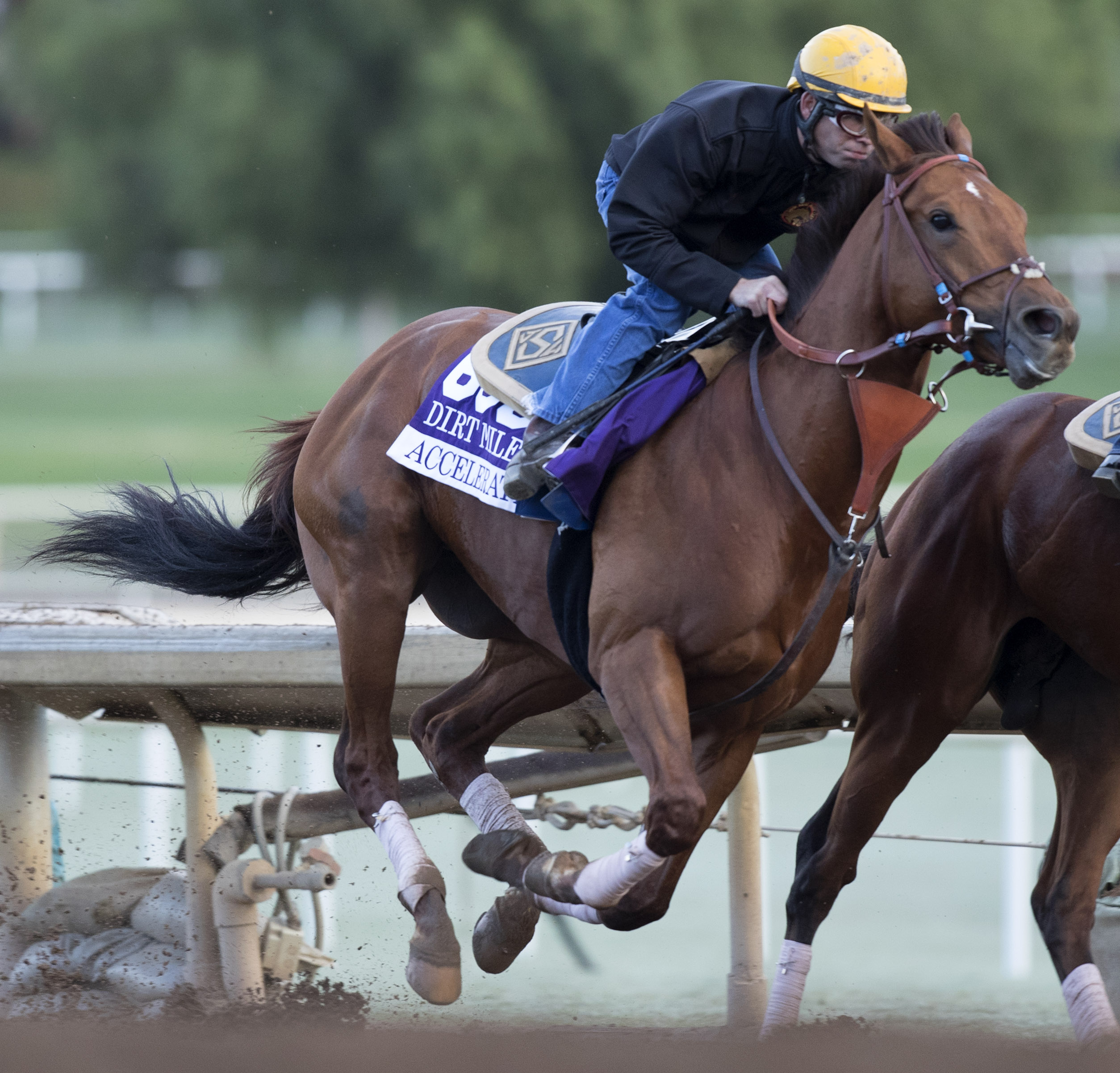 Accelerate