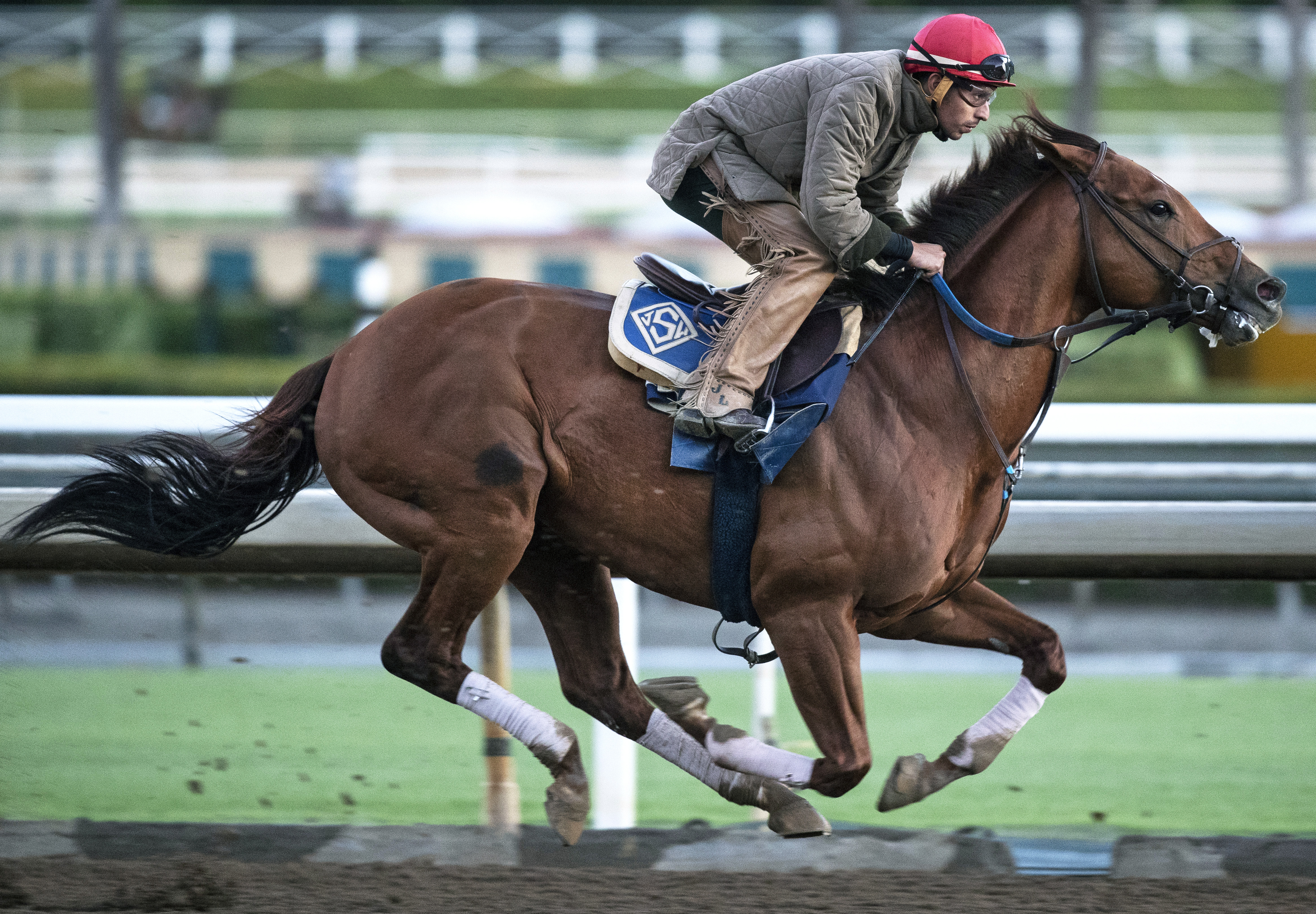 Accelerate trains at Santa Anita
