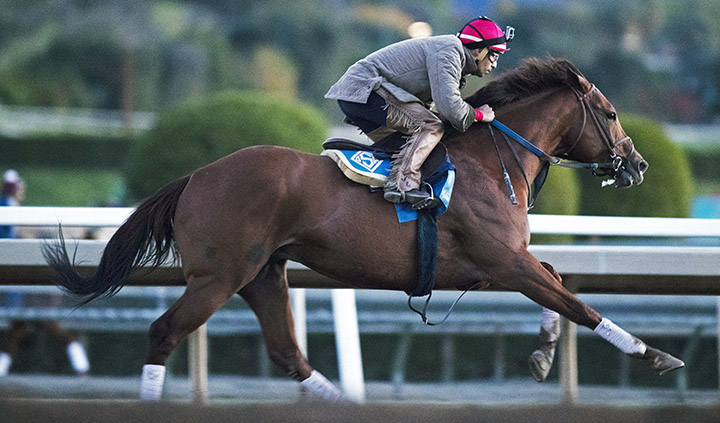 Accelerate