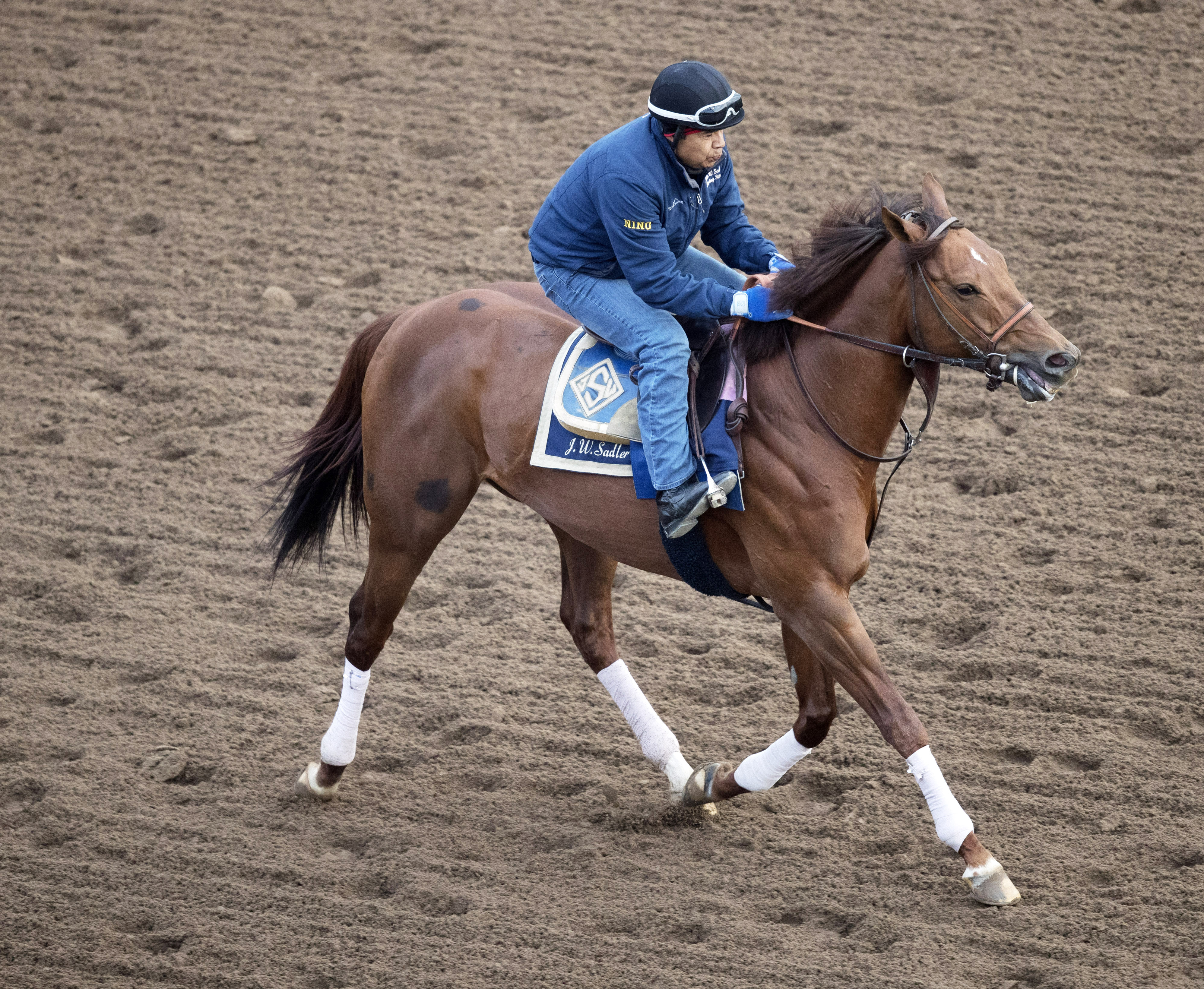 Accelerate at Santa Anita on March 7