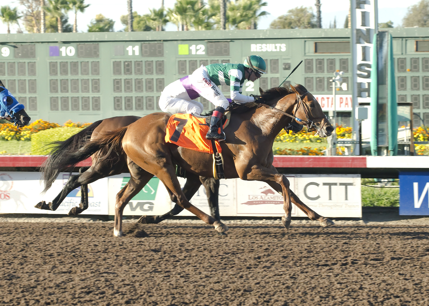Accelerate wins the Los Alamitos Derby