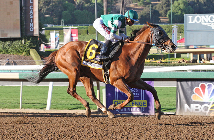 Accelerate wins the 2018 Awesome Again