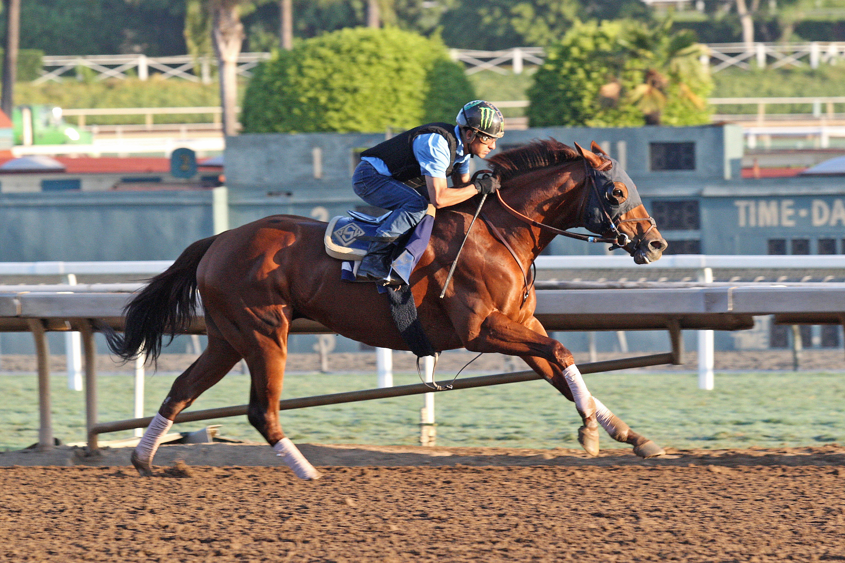 Accelerate trains at Santa Anita on Oct. 28